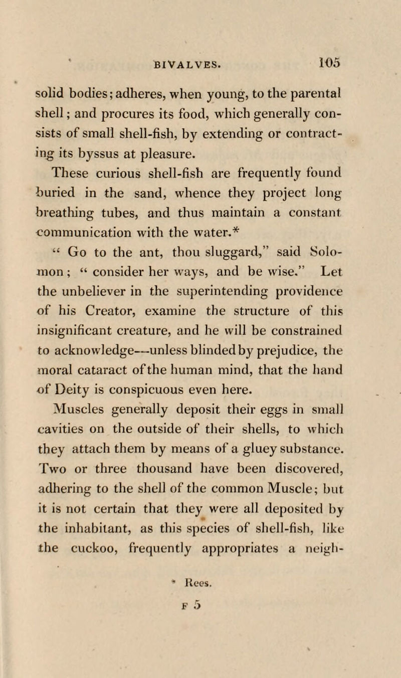 solid bodies; adheres, when young, to the parental shell; and procures its food, which generally con¬ sists of small shell-fish, by extending or contract¬ ing its byssus at pleasure. These curious shell-fish are frequently found buried in the sand, whence they project long breathing tubes, and thus maintain a constant communication with the water.* “ Go to the ant, thou sluggard,” said Solo¬ mon ; “ consider her ways, and be wise.” Let the unbeliever in the superintending providence of his Creator, examine the structure of this insignificant creature, and he will be constrained to acknowledge—unless blinded by prejudice, the moral cataract of the human mind, that the hand of Deity is conspicuous even here. Muscles generally deposit their eggs in small cavities on the outside of their shells, to which they attach them by means of a gluey substance. Two or three thousand have been discovered, adhering to the shell of the common Muscle; but it is not certain that they were all deposited by the inhabitant, as this species of shell-fish, like the cuckoo, frequently appropriates a neigh- • Rees.