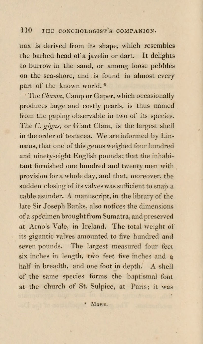 nax is derived from its shape, which resembles the barbed head of a javelin or dart. It delights to burrow in the sand, or among loose pebbles on the sea-shore, and is found in almost every part of the known world. * The Chama, Camp or Gaper, which occasionally produces large and costly pearls, is thus named from the gaping observable in two of its species. The C. gigas, or Giant Clam, is the largest shell in the order of testacea. We are informed by Lin¬ naeus, that one of this genus weighed four lumdred and ninety-eight English pounds; that the inhabi¬ tant furnished one hundred and twenty men with provision for a whole day, and that, moreover, the sudden closing of its valves was sufficient to snap a cable asunder. A manuscript, in the library of the late Sir Joseph Banks, also notices the dimensions of a specimen brought from Sumatra, and preserved at Arno’s Vale, in Ireland. The total weight of its gigantic valves amounted to five hundred and seven pounds. The largest measured four feet six inches in length, two feet five inches and a half in breadth, and one foot in depth. A shell of the same species forms the baptismal font at the church of St. Sulpice, at Paris; it was