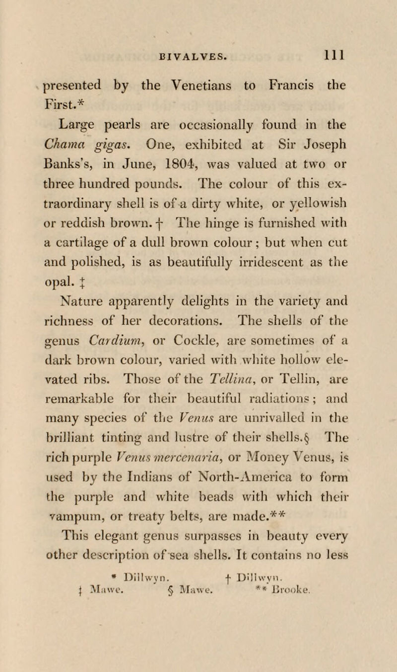 presented by the Venetians to Francis the First.* Large pearls are occasionally found in the Chama gigas. One, exhibited at Sir Joseph Banks’s, in June, 1804, was valued at two or three hundred pounds. The colour of this ex¬ traordinary shell is of a dirty white, or yellowish or reddish brown, -j- The hinge is furnished with a cartilage of a dull brown colour; but when cut and polished, is as beautifully irridescent as the opal. X Nature apparently delights in the variety and richness of her decorations. The shells of the genus Cardium, or Cockle, are sometimes of a dark brown colour, varied with white hollow ele¬ vated ribs. Those of the Tellina, or Tellin, are remarkable for their beautiful radiations; and many species of the Venus are unrivalled in the brilliant tinting and lustre of their shells.§ The rich purple Venus me7-cennria, or Money Venus, i.s used by the Indians of North-America to form the purple and white beads with which their vampum, or treaty belts, are made.** This elegant genus surpasses in beauty every other description of sea shells. It contains no less • Dillwyn. Dillwyn. } Mawc. § IVIawe. ** JJrooke.