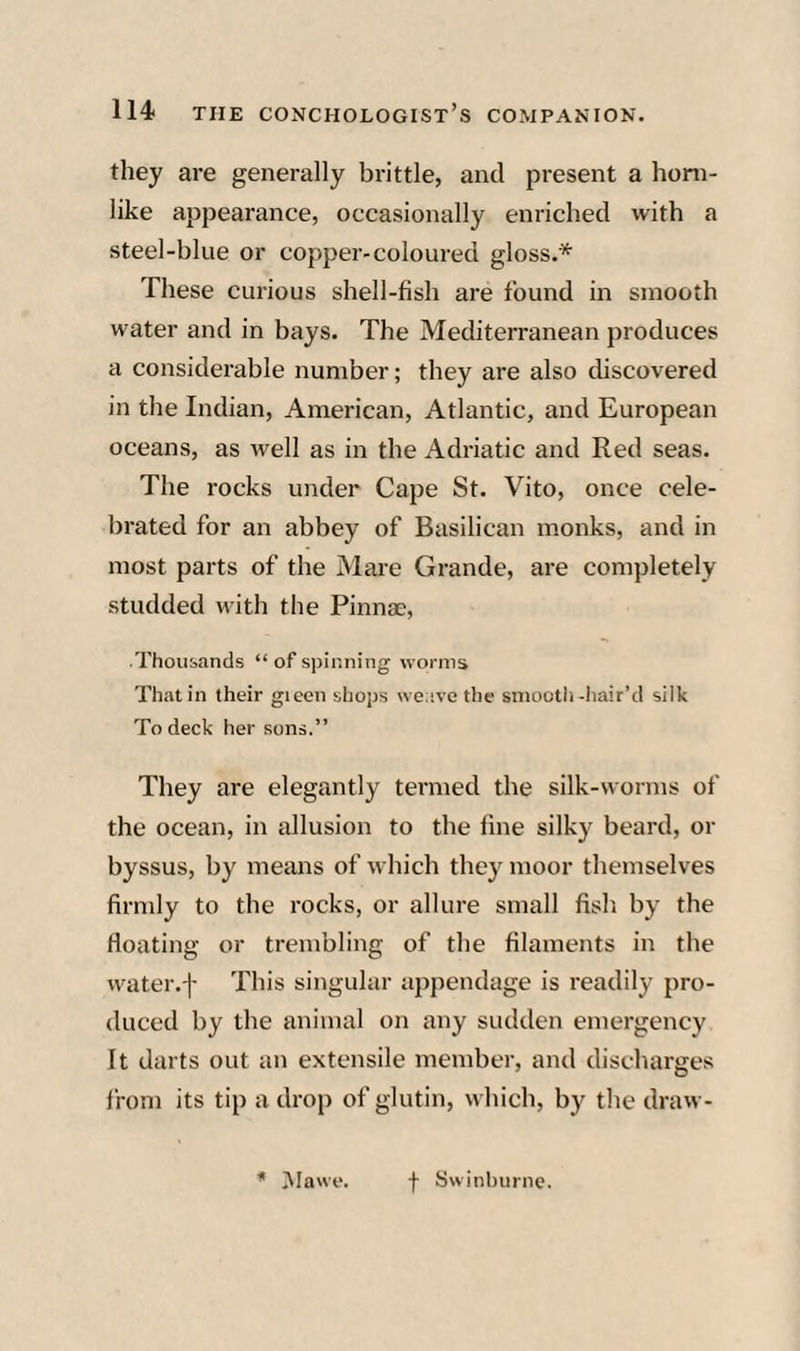 they are generally brittle, and present a horn¬ like appearance, occasionally enriched with a steel-blue or copper-coloured gloss.* These curious shell-fish are found in smooth water and in bays. The Mediterranean produces a considerable number; they are also discovered in the Indian, American, Atlantic, and European oceans, as well as in the Adriatic and Red seas. The rocks under Cape St. Vito, once cele¬ brated for an abbey of Basilican monks, and in most parts of the Mare Grande, are completely studded with the Pinnae, Thousands “ of spinning worms That in their gieen shops weiivc the smooth-hair’d silk To deck her sons.” They are elegantly termed the silk-worms of the ocean, in allusion to the fine silky beard, or byssus, by means of which they moor themselves firndy to the rocks, or allure small fish by the floating or trembling of the filaments in the water.f This singular appendage is readily pro¬ duced by the animal on any sudden emergency It darts out an extensile member, and discharges from its tip a drop of glutin, which, by the draw-