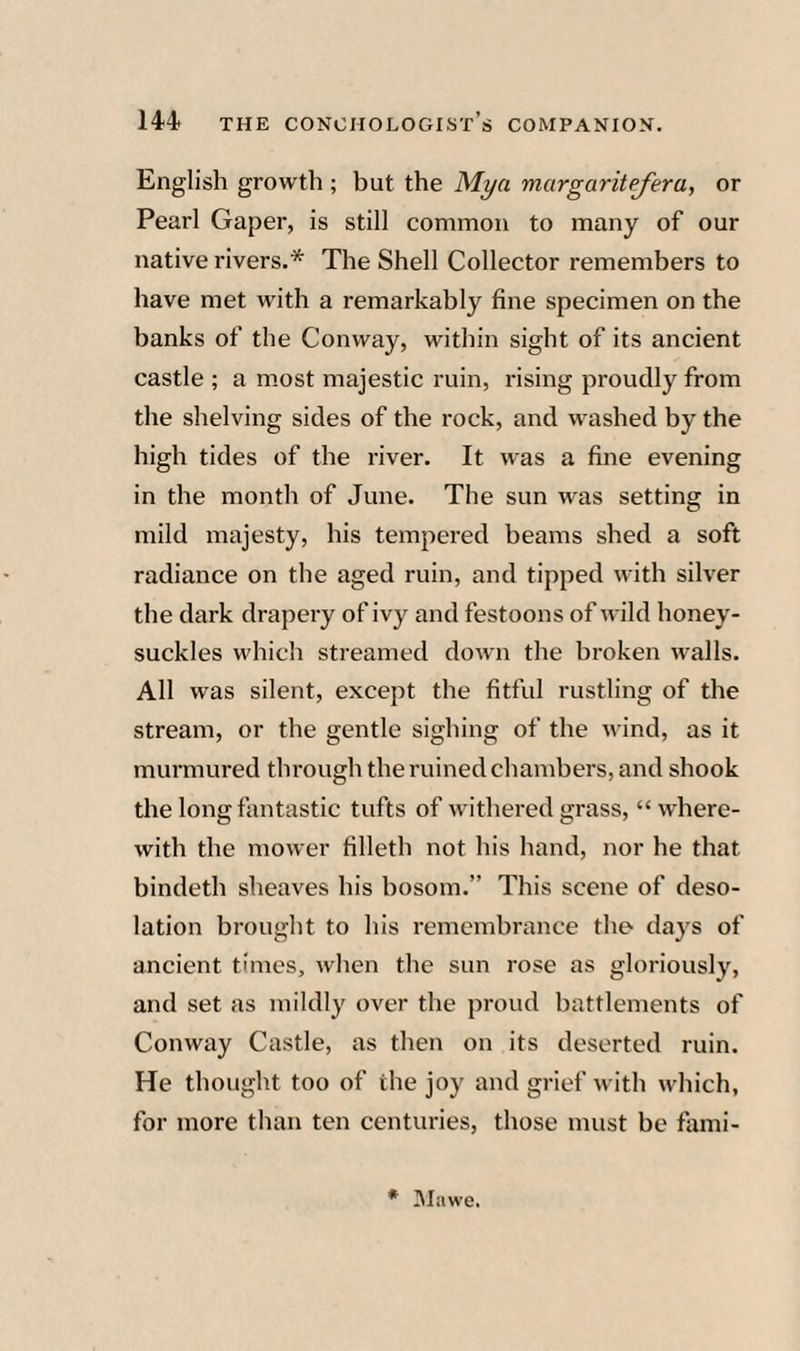 English growth ; but the Mya margaritefera, or Pearl Gaper, is still common to many of our native rivers.* The Shell Collector remembers to have met with a remarkably fine specimen on the banks of the Conway, within sight of its ancient castle ; a most majestic ruin, rising proudly from the shelving sides of the rock, and washed by the high tides of the river. It was a fine evening in the month of June. The sun was setting in mild majesty, his tempered beams shed a soft radiance on the aged ruin, and tipped with silver the dark drapery of ivy and festoons of wild honey¬ suckles which streamed down the broken walls. All was silent, except the fitful rustling of the stream, or the gentle sighing of the wind, as it murmured through the ruined chambers, and shook the long fantastic tufts of withered grass, “ where¬ with the mower filleth not his hand, nor he that bindeth sheaves his bosom.” This scene of deso¬ lation brought to his remembrance the days of ancient times, when the sun rose as gloriously, and set as mildly over the proud battlements of Conway Castle, as then on its deserted ruin. He thought too of the joy and grief with which, for more than ten centuries, those must be fami- * IMawe.