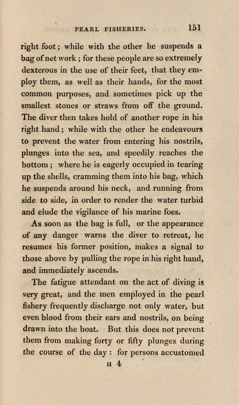 right foot; while with the other he suspends a bag of net work; for these people are so extremely dexterous in the use of their feet, that they em¬ ploy them, as well as their hands, for the most common purposes, and sometimes pick up the smallest stones or straws from off the ground. The diver then takes hold of another rope in his right hand; while with the other he endeavours to prevent the water from entering his nostrils, plunges into the sea, and speedily reaches the bottom ; where he is eagerly occupied in tearing up the shells, cramming them into his bag, which he suspends around his neck, and running from side to side, in order to render the water turbid and elude the vigilance of his marine foes. As soon as the bag is full, or the appearance of any danger warns the diver to retreat, he resumes his former position, makes a signal to those above by pulling the rope in his right hand, and immediately ascends. The fatigue attendant on the act of diving is very great, and the men employed in the pearl fishery frequently discharge not only water, but even blood from their ears and nostrils, on being drawn into the boat. But this does not prevent them from making forty or fifty plunges during the course of the day : for persons accustomed