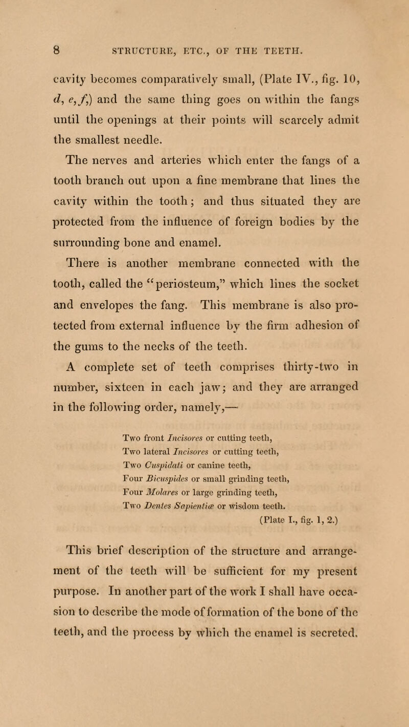 cavity becomes comparatively small, (Plate IV., fig. 10, d, e,f,) and tlie same tiling goes on within the fangs until the openings at their points will scarcely admit the smallest needle. The nerves and arteries which enter the fangs of a tooth branch out upon a fine membrane that lines the cavity within the tooth; and thus situated they are protected from the influence of foreign bodies by the surrounding bone and enamel. There is another membrane connected with the tooth, called the “periosteum,” which lines the socket and envelopes the fang. This membrane is also pro¬ tected from external influence by the firm adhesion of the gums to the necks of the teeth. A complete set of teeth comprises thirty-two in number, sixteen in each jaw; and they are arranged in the following order, namely,— Two front Incisores or cutting teeth, Two lateral Incisores or cutting teeth, Two Cuspidati or canine teeth, Four Bicuspides or small grinding teeth, Four Molares or large grinding teeth, Two Dentes Sapient'ue or wisdom teeth. (Plate I., fig. 1,2.) This brief description of the structure and arrange¬ ment of the teeth will be sufficient for my present purpose. In another part of the work I shall have occa¬ sion to describe the mode of formation of the bone of the teeth, and the process by which the enamel is secreted.
