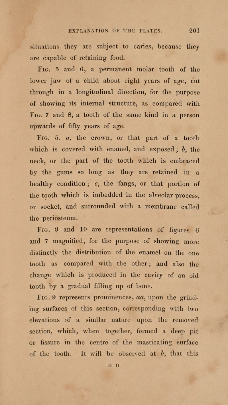 situations they are subject to caries, because Uiey are capable of retaining food. Fig. 5 and G, a permanent molar tooth of the lower jaw of a child about eight years of age, cut through in a longitudinal direction, for the purpose of showing its internal structure, as compared with Fig. 7 and 8, a tooth of the same kind in a person upwards of fifty years of age. Fig. 5. a, the crown, or that part of a tooth which is covered with enamel, and exposed ; b, the neck, or the part of the tooth which is embraced by the gums so long as they are retained in a healthy condition; c, the fangs, or that portion of the tooth which is imbedded in the alveolar process, or socket, and surrounded with a membrane called the periosteum. Fig. 9 and 10 are representations of figures G and 7 magnified, for the purpose of showing more distinctly the distribution of the enamel on the one tooth as compared with the other; and also the change which is produced in the cavity of an old tooth by a gradual filling up of bone. Fig. 9 represents prominences, na, upon the grind¬ ing surfaces of this section, corresponding with two elevations of a similar nature upon the removed section, which, when together, formed a deep pit or fissure in the centre of the masticating surface of the tooth. It will be observed at b, that this D 1)