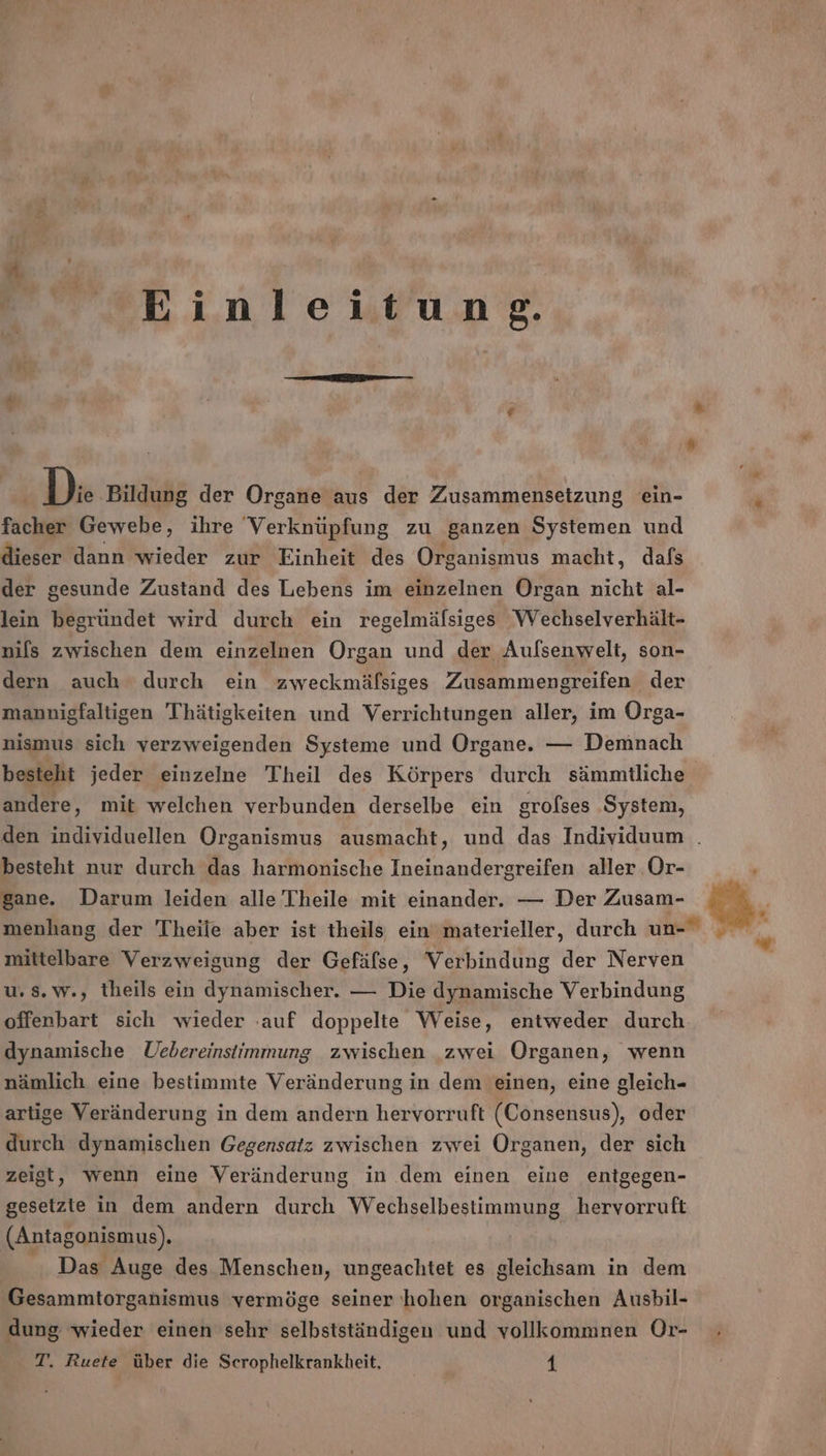 © Einleitung. D: Bildung der Organe aus der Zusammensetzung ein- facher Gewebe, ihre Verknüpfung zu ganzen Systemen und dieser dann wieder zur Einheit des Organismus macht, dafs der gesunde Zustand des Lebens im einzelnen Organ nicht al- lein begründet wird durch ein regelmälsiges Wechselverhält- nils zwischen dem einzelnen Organ und der Aulsenwelt, son- dern auch durch ein zweckmäfsiges Zusammengreifen der mannigfaltigen Thätigkeiten und Verrichtungen aller, im Orga- nismus sich verzweigenden Systeme und Organe. — Demnach besteht jeder einzelne Theil des Körpers durch sämmtliche andere, mit welchen verbunden derselbe ein grolses ‚System, den individuellen Organismus ausmacht, und das Individuum . besteht nur durch das harmonische Ineinandergreifen aller Or- gane. Darum leiden alle Theile mit einander. — Der Zusam- Bei menhang der Theile aber ist theils ein’ materieller, durch un- mittelbare Verzweigung der Gefälse, Verbindung der Nerven u.s.w., theils ein dynamischer. — Die dynamische Verbindung offenbart sich wieder ‚auf doppelte Weise, entweder durch dynamische Uebereinstiimmung zwischen zwei Organen, wenn nämlich eine bestimmte Veränderung in dem einen, eine gleich- artige Veränderung in dem andern hervorruft (Consensus), oder durch dynamischen Gegensatz zwischen zwei Organen, der sich zeigt, wenn eine Veränderung in dem einen eine enigegen- gesetzte in dem andern durch Wechselbestimmung hervorruft (Antagonismus). Das Auge des Menschen, ungeachtet es gleichsam in dem Gesammtorganismus vermöge seiner hohen organischen Ausbil- dung wieder einen sehr selbstständigen und vollkommnen Or- .