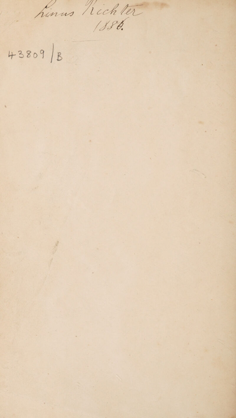 FIRST DIVISION OF PLANTS. 185 by the name of Lucky Minny's lines, and in Eng¬ land of sea lace, see cut, fig. a. Lightfoot mentions 77. a. Sea Catgut, chorda /ilium; b. Himanthalia Lorea. that the fronds, skinned when half dry and twisted, acquire so considerable a degree of strength and toughness, that the highlanders sometimes use them for fishing lines. In Scalpa bay, near Kirkwall in Orkney, says Dr Neill, we have sailed through meadows of it in a pinnace not without some difficulty, where the water was between three and four fathoms deep, and where of course the waving weeds must at least have been from twenty to thirty feet long. The various species of sea tangle, as laminaria digi- tata and bulbosa, are more robust, the former having a stalk as thick and as long as a stout walking stick, and a large flat many-cleft frond at the summit. It is a social species, grows erect in the water, and reminds the spectator of a palm-like tropical forest. The L. bulbosa has sometimes so large a head that a single plant is as much as a man can carry. It is in the south¬ ern hemisphere, however, that we must look for the most wonderful examples of marine vegeta¬ tion. The lessonia fuscescens, described by Borey de St Vincent, is twenty-five or thirty feet high, and has a trunk often as thick as a man’s thigh, which divides into numerous branches, each terminated by a lanceolated frond. The laminaria buccinalis of the Cape of Good Hope is much larger than our common tangle, and is furnished with a hollow stem, which the natives convert into a kind of horn, whence it has acquired the name of trumpet weed. The fucus gigantoeus of Solander, or kelp, as it grows on the shores of Terra del Fuego, is thus de¬ scribed by Mr Darwin: “ This plant grows on every rock from low water to a great depth, both on the outer coast and within the channel. I believe, during the voyages of the Adventurer and Beagle, not one rock near the surface was discovered which was not buoyed up by this floating weed. The good service it thus affords to vessels navigating near this stormy land is evident, and it certainly has saved many a one from being wrecked. I know few things more surprising than to see this plant growing and flourishing amidst those great breakers of the western ocean, which no mass of rock, let it be ever so hard, can long resist. The stem is round, shining, and smooth, and seldom has a diameter of so much as an inch. A few taken together are sufficiently strong to support the weight of the large loose stones to which, in the inland channels, they grow attached; and some of these stones are so heavy, that when drawn to the sur¬ face they can scarcely be lifted into a boat by one person.” Captain Cook, in his second voy¬ age, says, that at Kirguelen land some of this weed is of a most enormous length, though the stem is not much thicker than a man’s thumb. I have mentioned that on some of the shoals upon which it grows we did not strike ground with a line of twenty-four fathoms. The depth of water, therefore, must have been greater; and as this weed does not grow in a perpendicular direction, but makes a very acute angle with the bottom, and much of it afterwards spreads many fathoms on the surface of the sea, I am well war¬ ranted to say, that some of it grows to the length of sixty fathoms and upwards. Certainly, at the Falkland islands, and about Terra del Fuego, extensive beds frequently spring up from ten and fifteen fathom water. I do not suppose the stem of any other plant attains so great a length as 860 feet, as thus stated by Captain Cook. Its geographical range is very considerable. It is found from the extreme southern islets, near Cape Horn, as far north on the eastern coast as latitude 48°, and on the western it was tolerably abundant, but far from luxuriant at Cliiloe in latitude 42°; thus having a range of 15° of lati¬ tude. The number of living creatures of all or¬ ders whose existence intimately depends on the kelp is wonderful. I can only compare these great aquatic forests of the southern hemisphere Avith the terrestrial ones in the intertropical re¬ gions. Yet if the latter should be destroyed in any country, I do not believe nearly so many species of animals would perish as under similar circumstances would happen with the kelp. In¬ dependent of the numerous zoophytes, amidst the leaves of this plant many species of fish live which no where else would find food or shelter. With their destruction the many cormorants, divers, and other fishing birds, the otters, seals, and porpoises, would soon perish also; and lastly, the Fuegian savage, the miserable lord of this miserable land, would redouble his cannibal feast, decrease in numbers, and perhaps cease to exist. 2 A