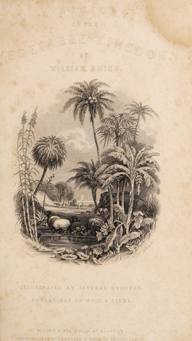 THE DATE, 253 downwards on the outside of the shell. The seedlings are allowed to remain in this state for about a year before they are transplanted. Holes of about two feet deep, and from twenty-five to thirty feet distant from each other, are dug in the field intended for a cocoa nut garden, and the young shoots put into them. Under each nut on the Malabar coast a fanum is placed. A little earth is put round the nut; and, in dry weather, the plants are watered. They require to be pro¬ tected from cattle, and particularly from elephants. Double Cocoa Nut Palms. About eight or ten degrees north of Madagascar, lies a small group of islands called the Seychelles, which are rendered famous by the production of a palm not known in any other part of the world, and whose history is too remarkable to be passed over altogether in silence. Even of this small group of islands, three only, lying within half a mile of each other, produce the palm that bears the double cocoa nuts, or, as they are called, cocos cle mer, from an er¬ roneous idea that they were marine productions. Until the discovery of these islands in 1743, double cocoa nuts were only known from having been found floating on the surface of the sea in the Indian ocean, generally destitute of husk, and with the inner part decayed; but still so highly prized as to be spoken of by Itumphius as a “wonderful miracle of nature, the most rare of marine productions.” This author fur¬ ther assures us that the double cocoa nut is no terrestrial production that may have fallen in the sea, and there become petrified, as others ignorantly stated; but “a fruit growing itself in the sea, whose tree has hitherto been concealed from the eye of man.” The Malays asserted that the palm that bore it was sometimes seen at the bottom of the ocean, but that if dived for it instantly vanished; while the negro priests further affirmed that its submarine branches harboured an enor¬ mous griffin, which nightly came to shore, and, seizing elephants and tigers, carried them off to its nest as a prey; and not satisfied with those, attracted such ships as came near to the spot, and devoured the luckless mariners. With such, and even stranger ideas respecting its place of growth and history, there is no wonder that this nut should be highly prized in the Mal¬ divian islands: it was death to any man to pos¬ sess it, and all that were found belonged to the king, who sold them at high prices, or distributed them as regal gifts. From 120 to 150 crowns were paid for each nut; and even kings have been so greedy of obtaining these fruits, as to give a loaded ship for one. Itumphius certainly states his suspicions, that the Chinese and Malays may have perhaps set too high a value on the double cocoa nut, when considering it an antidote against all poisons. The albumen, or meat, which lines the nut, was thought to be the part where this virtue resided ; it was mingled with red coral, black ebony, stag’s horns, and many such anomalous ingredients, and drank from vessels of porphyry. All inflammations of the body were likewise believed to be subjected to its powers. It was a preservative against colic, apoplexy, paralysis, &c. The shell being less precious, was granted to the great men for drinking-vessels; a single slice being sufficient, if used as the lid, to neutralize the effect of any noxious ingredient that might mingle with the drink. The dis¬ covery of the Seychelles islands, and the know¬ ledge thus obtained, that these mystical nuts grew upon trees, caused a speedy reduction in their value, though the botanical history of the palm that produced them, continued long a de¬ sideratum. Some imperfect notices served but to stimulate the curiosity that was finally gra¬ tified by Mr Telfair, who entreated Mr Harrison, a freed resident in the Seychelles, to obtain the necessary species and delineations. “To behold these trees,” says Mr Harrison, “growing in thousands close to each other, the sexes inter¬ mingled; a numerous offspring* starting up on all sides sheltered by the parent plants, the old ones fallen into the sear and yellow leaf, and going fast to decay to make room for the young trees, presented to my eyes a picture so mild and pleasing, that it was difficult not to look upon them as animated objects, capable of en¬ joyment, and sensible of their condition. A new leaf is formed annually, which, falling off at the year’s end, leaves a scar or ring; by count¬ ing the number of which, it is estimated that this palm requires 130 years for its full growth. The foliage is finest on young plants shooting up perpendicularly, folded close like a fan, to ten feet or more. In this state it is pale yellow, and is used for hats and bonnets, afterwards it expands in all its beauty, and becomes green. The crown or cabbage in the midst of the leaves is eaten, the trunk is used for building, and the foliage serves for thatching, and even for the walls of houses; a hundred leaves sufficing to construct a house, including the partitions, doors, and windows. The down attached to the young foliage serves for filling mattresses and pillows, while the ribs of the leaves make baskets and brooms. Vessels of different forms and uses are made out of the nut, some of them holding six or eight pints; and being very strong and durable, they are much valued. Among other articles, shaving dishes, black, beautifully polished, set in silver, and carved, are formed of these nuts. The Date (phoenix dactylifera.) Next to the cocoa nut, the date is unquestionably the most interesting and useful of the palm tribe. It is of the class Dioecia; order Triandria of Linnaeus. The date palm, though some of the family are more majestic, is still a beautiful tree. The stem of it shoots up in one cylindrical column, to the height of fifty or sixty feet, without