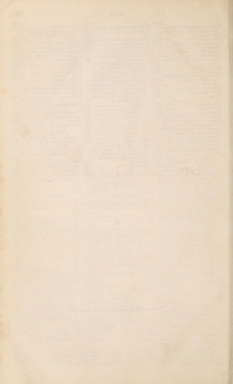 THE GRAMINEjE. 213 name of mung-corn, comiptly from monk-corn, because bread made with it was commonly eaten in monasteries. With the exception of wheat, rye contains a greater proportion of gluten than any other of the cereal grains, to which fact is owing its capabi¬ lity of being converted into a spongy bread. It contains, likewise, nearly five parts in every hundred of ready-formed saccharine matter, and is in consequence easily convertible into malt, and thence into beer or ardent spirit; but the produce of this last is so small, in comparison with that of malted barley, as to offer no in¬ ducement for its employment to that purpose. Rye has a strong tendency to pass rapidly from the vinous to the acetous state of fermentation, and whenever that circumstance has intervened, it would be vain to attempt either to brew or to distil it. Unmalted rye meal is mixed in Hol¬ land with barley malt, in the proportion of two parts by weight of the former, with one part of the latter, and the whole being fermented to¬ gether, forms the wash whence is distilled all the grain spirit produced in that country, and known throughout Europe as Hollands, Geneva. There must, however, be some circumstances of a peculiar nature connected with the process, as conducted bv the Dutch distillers, since no at- tempts made elsewhere have ever been success¬ ful in obtaining a spirit having the same good qualities. Rye is the common bread-corn in all the sandy districts to the south of the Baltic sea and the Gulf of Finland, furnishing abundance of food for the numerous inhabitants of places which, without it, must have been little better than sandy and uninhabited deserts. In these dis¬ tricts it not only forms the chief article of con¬ sumption, but furnishes a material of some con¬ sequence to the export trade of the Prussian ports. The peasantry in Sweden subsist very gene¬ rally upon rye-cakes, which they bake only twice in the course of the year, and which, dur¬ ing most part of the time, are consequently as hard as a board. Linnaeus observed a curious practice in Lapland. One part of rye and two parts of barley being mixed together, the seed is committed to the ground as soon as the earth is capable of tillage in the spring. The barley shoots up vigorously, ripens its ears, and is reaped; while the rye merely goes into leaf with¬ out shooting up any stem, its growth being re¬ tarded by the barley, which may be said to smother it. After the barley is reaped, the rye advances in growth, and, without any farther care of the cultivator, yields an abundant crop in the following year. This grain, to which so many human beings are thus indebted for aliment, is subject to a dis¬ ease which, when it occurs, not only deprives it of all its useful properties as food, but renders it absolutely noxious, and, it may even be said, poisonous to man. When thus diseased it is called by English farmers horned rye,, and by the French ergot, from the fancied resem¬ blance to a cock’s spur of an excrescence which the grain then bears. Whenever this disease has been witnessed, it has usually happened that a wet spring has been succeeded by a summer more than ordinarily hot. Tissot, a French physician, bestowed much attention on this sub¬ ject, and upon its melancholy consequences. It is from him we learn that the excrescence just mentioned is an irregular vegetation, which springs from the middle substance, between the grain and the leaf, growing to the length of an inch and a half, and being two-tenths of an inch broad. It is of a brownish colour. Bread which is made of rye thus diseased has an acrid and nauseous taste, and its use is fol¬ lowed by spasmodic symptoms and gangrenous disorders.- These effects cannot by any means be classed among imaginary evils. In 1596 an epi¬ demic prevailed in Hesse, which was wholly as¬ cribed to the use of horned rye. Some of the persons who had unfortunately partaken of this food were seized with epilepsy, the attacks of which, for the most part, ended fatally; of others, who became insane, few ever fully recovered the proper use of their senses; while some, who were apparently restored, were liable through life to periodical returns of their disorder. Similar calamities were experienced in differ¬ ent parts of the continent at various times, be¬ tween 1648 and 1736, and these visitations have been recorded by Burghart, Hoffman, and others. In 1709, this diseased condition of the rye oc¬ curred in a part of France to such a degree, that in consequence of it no fewer than five hundred patients were at one time under care of the sur¬ geons at the public hospital at Orleans. The symptoms first came on with all the apparent characteristics of drunkenness, after which the toes became diseased, mortified, and fell off. The disorder thence extended itself up the leg, and frequently attacked the trunk, and this some¬ times occurred even after amputation of the dis¬ eased limbs had been performed, with the vain hope of stopping the progress of the disorder. The poisonous quality of horned rye is not exerted upon human beings alone, both insects and larger animals having been fatally affected by it; even flies, that merely settled casually upon the grain, have been killed by that means; and deer, swine, and different kinds of poultry, upon which experiments were tried, all died miserable deaths, some in strong convulsions, and others with mortified ulcers. These cir¬ cumstances must have been truly appalling by their severity and the frequency of their recur¬ rence. Few evils, however, are wholly of an
