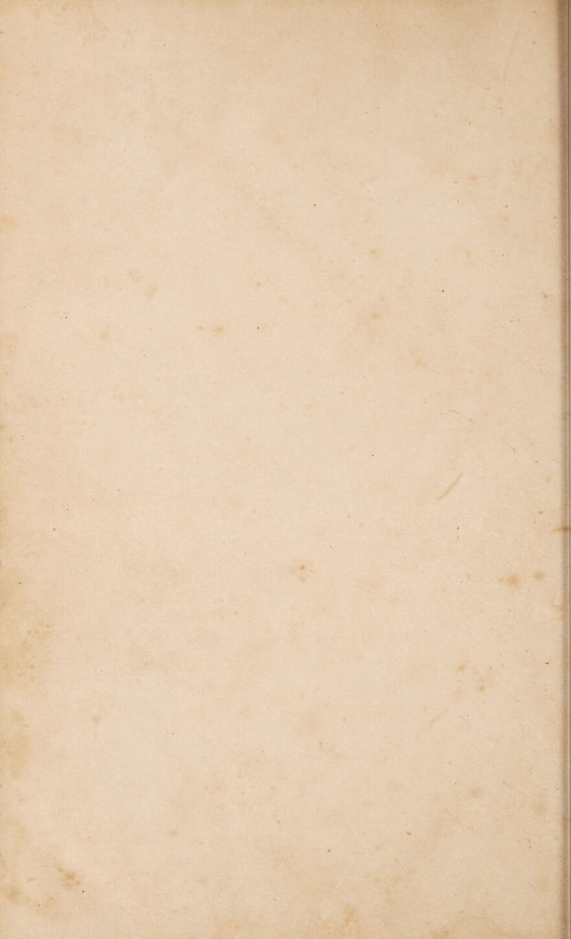 THE GRAPE VINE. 339 The common wood strawberry (which was probably the earliest cultivated) has the leaves rather small, the runners (at the joints of which the new plants are produced) slender, and often of a purple colour. The fruit is small, and gen¬ erally red, but without much flavour, owing to its being shaded from the sun. When brought out of the shade, or in countries where the in¬ fluence of the sun is more powerful, both its size and flavour are very much improved; and though not the handsomest, it becomes far from the worst of the cultivated sorts. There is a variety of the wood strawberry a good deal paler, both in the leaves and the fruit, than the one now mentioned, which also ripens later in the season; but it is by no means productive, and is accord¬ ingly not much cultivated. The Alpine strawberry is, in its native situa¬ tion, a more vigorous plant, and produces larger and more highly flavoured fruit than the com¬ mon one of the woods. It is often much darker in the colour than any of the other strawberries; and when it is so, the flavour has a sharpness bordering upon austerity. Still, however, it is an excellent fruit; and it has this advantage, that it continues bearing from June until stopped by the frost; and, in very open seasons, fruit has been gathered from it at Christmas. The Hautbois was the first known of the larger variety of strawberry. Its history has never been well ascertained, though it is generally be¬ lieved to be the mountain strawberry of Bohe¬ mia, and to have been first improved by cultiva¬ tion in France. The hautbois is very produc¬ tive ; and the fruit is highly flavoured, with a peculiar kind of perfume; but some care is ne¬ cessary in order to prevent the plants from de¬ generating. The name of this strawberry is pro¬ bably derived from the circumstance of the scape which bears the fruit standing higher than the leaves, and, consequently, being called hautbois (high wood). In the old gardening books it is written hautboy. In the early part of the last century, the Al¬ pine strawberry of Chili was introduced into the Royal Gardens at Paris, and from thence found its way over many parts of Europe. It grew to an immense size, and had a finer colour than the hautbois; but in the southern countries of Eu¬ rope it was soon neglected, because it ran greatly to leaves, produced comparatively little fruit, and what it did produce was deficient in flavour. The “ old scarlet strawberry,” which was an ori¬ ginal introduction from North America, has been an inhabitant of our gardens for nearly two hun¬ dred years. The “old black strawberry,” an unproductive sort, has been long known in Eng¬ land. The “Chinese” and the “Surinam” strawberries are of considerable antiquity amongst us. The “ old pine, or Carolina,” has been cul¬ tivated and highly prized by the English growers. Since attention began to be paid to the culture of strawberries, the number of varieties has been greatly increased. The British strawberries are divided into scarlet, black, pine, hautbois, green, alpine, and wood, according to a classification in a valuable paper in the sixth volume of the Hor¬ ticultural Transactions. Of these varieties the pine is the most esteemed. It is a native of Louisiana and of Virginia. Its colour is a deep red on both sides; and it is the most rich and highly flavoured of all strawberries, constituting the most valuable variety that has yet been dis¬ covered. Strawberry plants multiply spontaneously every summer, as well by suckers from the pa¬ rent stem, as by numerous runners, all of which rooting and forming a plant at every joint, re¬ quire only removal to a bed where there is room for them to flourish. Each of these separately planted bears a fine fruit the following season, and will bear in full perfection the second sum¬ mer. A plantation of the alpine yields fruit the same year that it is made. The wood and the alpine grow readily from seed, and bear a finer fruit than that from offsets. The other kinds, however, are regularly propagated from offsets. Strawberries require a deep soil, and manure not much rotted. A bank, exposed to the sun, or freely exposed beds, are most suited for all the sorts, except the alpine and wood, which re¬ quire shaded situations. They may either be planted in beds or borders. The plants are to be kept clean, and the suckers cut away frequently. The whole plants are to be renewed every fourth or fifth year; some, however, renew the plants every year. A strawberry wall may be made of loose stones or bricks, three to four feet wide, and sloping upwards two to three feet; the in¬ terior is filled up with soil, and the strawberries planted outside. CHAP. XXXV. THE GRAPE, MULBERRY, CURRANT, GOOSEBERRY, BARBERRY, &C. The Grape Vine, (viiis mnifera.) This celebrated plant belongs to the natural family viniferoe, of which it is the principal and typical genus; and to the class pentandria, order mono- gynia of Linnaeus. It is a trailing, deciduous, hardy shrub, with large, elegantly shaped leaves, and producing flowers in the form of a raceme, of a greenish white colour, and fragrant odour; appearing in the open air in this country in June, and the fruit, which is of the berry kind, attains such maturity as the season and situation admit by the middle or end of September. The grape is of a globular, ovate, or oblong