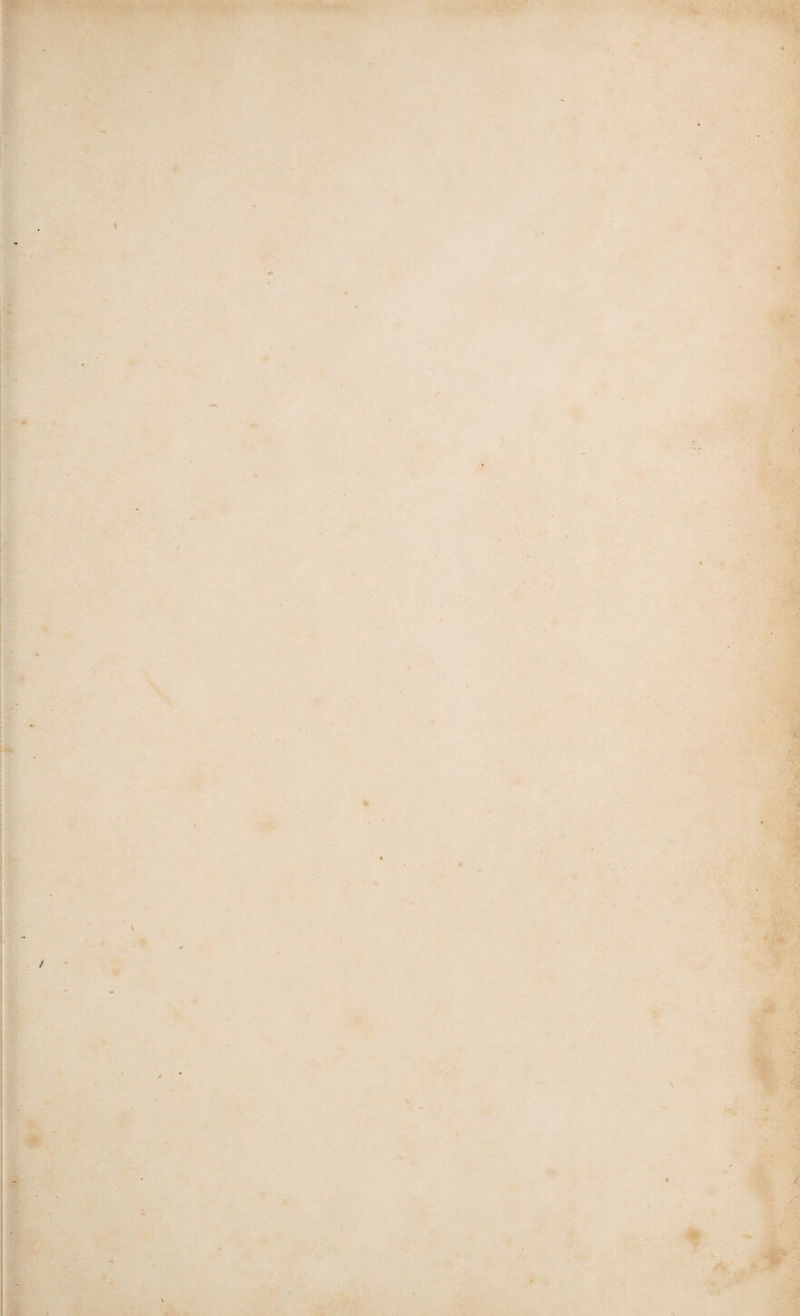 cumference, and two feet and a half high, in- tduding the cap. But in the West Indies there 135. The Melon Thistle. are plants nearly twice this size. Linnaeus re¬ marks that this plant resembles a hedgehog in its form and spines, and on the top has a discoid, convex, villous body, from which the flowers proceed. These plants grow out from the steep rocky mountain sides in the warmer parts of America, where they seem to he thrust out of the aper¬ tures of the rocks, having apparently little earth to support them; their roots shooting down the fissures to a considerable depth, so that it is troublesome to get the plants up. As they de¬ light in such rocky places, they seldom live long when transplanted into a better soil. In times of great drought the cattle repair to the barren rocks where these plants grow, rip them up with their horns, tear off the outside skin, and greedily devour all the fleshy moist part. The fruit is frequently eaten by the inhabitants of the West Indies. It is about three quarters of an inch in length, of a taper form, drawing to a point at the bottom, but blunt at the top. The taste is an agreeable acid. G. repandus has a fruit about the size and shape of a Bergamot pear, having many soft spines in the skin. The outside is a pale yellow, the inside very white, full of pulp, having a great number of small black seeds lodged in it. It frequently flowers in July; and in warm sea¬ sons will perfect its fruit, which has very little flavour in this country, but is frequently served up at table in the West Indian islands. The Night-elo wering Cactus, (c. grandi- fiorus,) as its name implies, produces flowers of great beauty and sweetness; they are very evanes¬ cent, however, like most of their kind, enduring at the most for not more than six hours. They begin to open between seven and eight o’clock in the evening, are fully blown by eleven, and by three or four in the morning they fade and hang down quite decayed, never opening again when once closed. During their short continu¬ ance there is scarcely any flower of greater beauty, or that makes a more magnificent appearance; for the calyx of the flower, when open, is nearly a foot in diameter, the inside of which being of a splendid yellow colour, appears like the rays of a bright star: the outside is of a dark brown; the petals being of a pure white, add to the lus¬ tre. The vast number of recurved stamens sur¬ rounding the style in the centre of the flower, make a fine appearance, while the delicious odour scents the air to a considerable distance. Few plants are more deserving of a place in the hot¬ house than this, especially as by training it against the wall it occupies little room. The usual season of its flowering is in July; and when the plants are large, many flowers will blow the same night, and there will be a succession for several nights together. Sometimes from six to ten flowers open on the same plant in one night, thus exhibiting a most magnificent appearance by candle light. In this country the fruit never forms. Another species, the flagelliformis, produces a greater number of flowers than the preceding. They blow in May, or even earlier, in mild sea¬ sons. The petals are of a delicate pink colour, both outside and inside; their petals are not so numerous as in the other species, while the tube of the flower is longer. These flowers remain open for three or four days, provided there is not too much'warmth; fruit sometimes succeeds the flowers, but seldom ripens. This species has slender trailing branches. The Strawberry Pear, (c. triangularis,) bears the best flavoured fruit of any of the family. It is sweetish, slightly acid, pleasant, and cool¬ ing. In Martinique, and the other West India islands where it is cultivated, it is much es¬ teemed. The Indian Fig, (cactus Opuntia,J a native of the country of the Opuntiani, whose chief town 13G. The Indian Fig. was Opus, in the vicinity of Phocis, though, like others of the same family, a native of America also, is now found growing wild on the sides of the