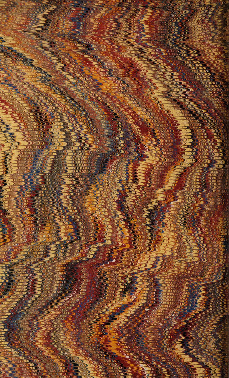 THE CACTUS TUNA. 865 roads between Rome and Naples, and other parts of Italy, and even, in the Valais; Gerarde says it was brought from Virginia into England, and Collinson had it from Newfoundland. It was fruited in Scotland in a stove, by Justice, in 1750, and recently by Braddoch, near London, in the open air. This active horticulturist having eaten with pleasure of the prickly pear in Virginia, was desirous of cultivating it here. He recol¬ lected that the plant in its wild state delighted in a dry soil, amongst rocks, near the skirts of the sunny sides of the forests, and having heard that it would stand the open air in this country, he planted it in a compost, prepared for the purpose, in a sheltered situation exposed to the sun. “ The first plant,” says he, “that I turned out, has lived in the open ground of this country for six or seven years, during which period it has ex¬ perienced one exceeding hard winter, and several trying springs; and in all, except the two first years, it has never failed to ripen its fruit and seeds, so that it may now be considered decidedly acclimated. The compost which I used is as follows: One half is carbonate of lime, for which lime rubbish from buildings will answer; the re¬ maining half consists of ecpial portions of Lon¬ don clay, and peat earth, having the acid neu¬ tralized by barilla; these are intimately blended and sifted. One square yard of this compost I conceive to be sufficient for one plant, which must be placed in the middle of a small artificial hillock, raised eighteen inches above the surface of the ground, which ground should be rendered perfect^ dry, if not naturally so by under drain¬ ing. Neither the leaves, flowers, or fruit, should ever be suffered to touch the ground; but they should, as constantly as they are produced, be kept from the earth by placing stones, pebbles, flints, or bricks under them, in imitation of ar¬ tificial rock work. The Indian fig is very common in Jamaica, and on it feed the wild sort of cochineal insect. The fruit is large, and of a deep purple colour, and when eaten stains the urine of a blood-red hue. The Cactus Tuna is used as a hedge plant in Spain, South America, and the West Indies. When the island of St Christopher was to be divided between the English and the French, three rows of the tuna were planted by common consent between the boundaries. Sir J. E. Smith remarks, that the stamens of the flower are very irritable, and that if a feather be drawn through them, in two or three seconds they begin to lie down gently on one side, and in a short time become recumbent at the bottom of the flower. The Cochineal Fig, (c. cochinellifera,J is the species on which the cochineal insect chiefly feeds, and is selected because it is least annoying by its prickles. This insect, however, does not confine itself entirely to the cacti, but feeds on other succulent plants. This species produces an edible fruit larger than that of the opuntia: on the top of the fruit there grows a red flower; this, when the fruit is ripe, falls down on the top of it, and covers it, so that no rain or dew can wet the in¬ side. A day or two after, the flower being scorched up by the heat of the sun, the fruit opens wide, and the inside appears full of small red insects. The Indians, when they perceive the fruit open, spread a large linen cloth, and then with sticks shake the plant to disturb the insect, so that they take wing to begone; but keep hovering over the plant till from the heat they fall down dead on the cloth, where the Indians let them remain two or three days till they are dry. The cochineal plants are called by the Spaniards toona; and they are planted in the country about Gua- timala, Chiape, and Cuaxaca, in the kingdom of Mexico. The difference of quality in the co¬ chineal, depends entirely on the plants on which the insects feed. The prickly pear, so abundant in Jamaica, is covered with the insects; but not having their proper food, they are in general di¬ minutive, and have very little red tincture in their bodies. The delicate red coloured juice of the fruit is the natural food of the insect. Its exuviae and animal salts are, from the minute¬ ness of its body, inseparable from the essential principles of the dye, and tend to diminish some¬ what the brilliancy of the colour. On this ac¬ count attempts have been made to obtain the inspissated juice of the plant directly from itself. The Pine Apple, (bromelia.) The natural family bromeli belongs to the second division of plants, or the monocotyledons; and we have reserved a description of it to this place, merely as it comes under the general denomination of pulpy fruits. This fruit is somewhat of the shape and ex¬ ternal form of the cone of the pine tree, hence its name of pine apple. It is without doubt the most delicious of all known fruits, and yet it has not been known in Europe above two cen¬ turies; nor is it more than half that period that its cultivation has been practised in Britain. It is doubtful to what quarter of the globe we were first indebted for this fruit. The earliest exchanges of tropical plants that took place be¬ tween the Portuguese in the East, and the Span¬ iards in the West, have not been recorded with perfect accuracy, so that we are not absolutely certain that the pine apple may not be a native of some parts of Asia, and even of Africa, as well as of America. That it is a native of the West is certain, however, as all the varieties, except some of the trivial ones arising from cul¬ tivation, are found wild on the continent or the islands of that quarter of the world. The bromelias have been variously described; some having formed them into three or four dis-