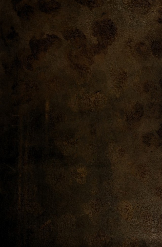 No text description is available for this image