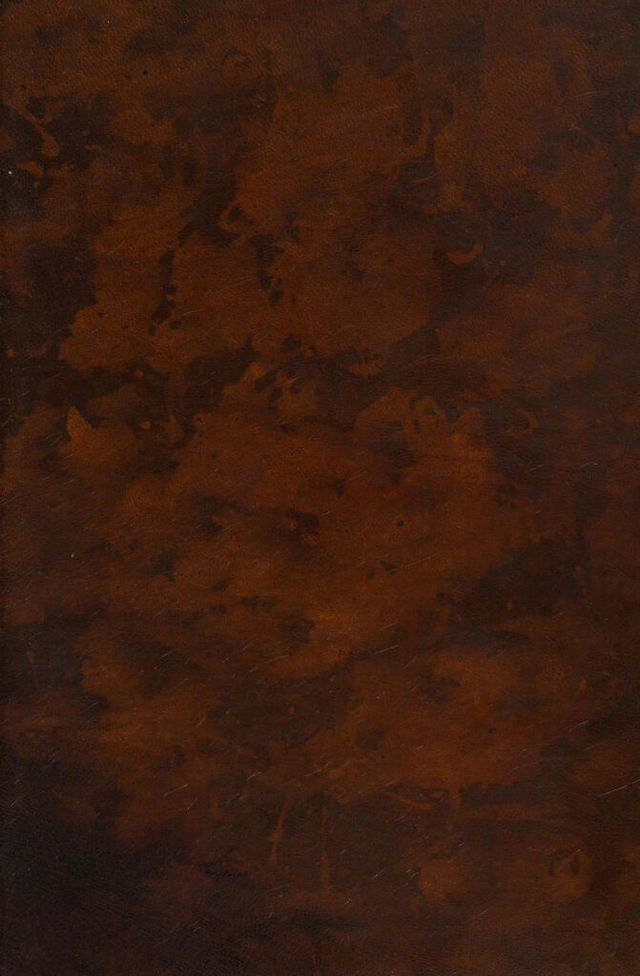 digitised image 1