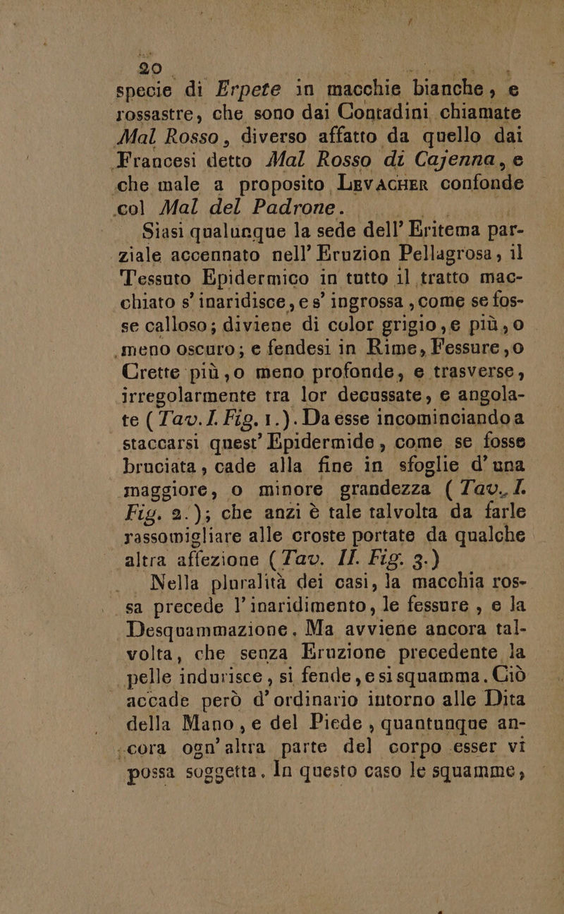 specie di Erpete in macchie oa e rossastre, che sono dai Contadini chiamate Mal Rosso, diverso affatto da quello dai Francesi detto Mal Rosso di Cajenna, e «che male a proposito. LevAcHER confonde «col Mal del Padrone. | Siasi qualurque la sede dell’ Eritema par- ziale accennato nell’ Eruzion Pellagrosa il Tessuto Epidermico in tutto il tratto mac- chiato s’ inaridisce,, e 8° ingrossa , come se fos- se calloso; diviene di color grigio, e più, o meno oscuro; e fendesi in Rime, Fessure,o Crette più jo meno profonde, e trasverse, irregolarmente tra lor decussate, e angola- te (Tav. I. Fig.1.).Da esse incominciando a staccarsi quest’ Epidermide , come se fosse bruciata, cade alla fine in sfoglie d' una maggiore, 0 minore grandezza ( Tav. I. Fig. 3:); che anzi è tale talvolta da farle rassomigliare alle croste portate da qualche altra affezione (Tav. II. Fig. 3.) Nella ploralità dei casi, la macchia ros- | sa precede l’inaridimento, le fessure , e la Desquammazione. Ma avviene ancora tal- volta, che senza Eruzione precedente la pelle indurisce , si fende, e sisquamma. Giò accade però d' AA intorno alle Dita della Mano, e del Piede , quantunque an- «cora 0gn Jard: parte del corpo esser VI possa soggetta. In questo caso le squamme,