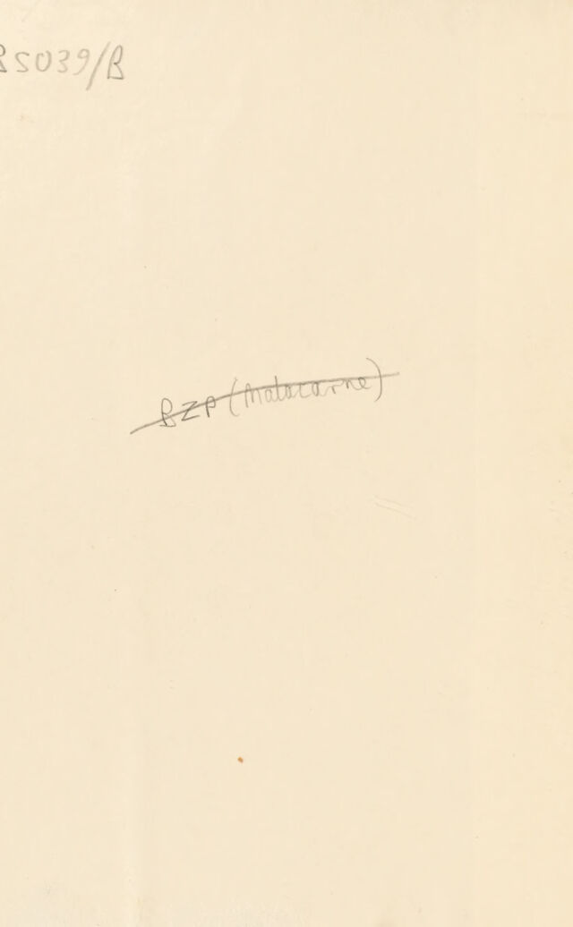 digitised image 2