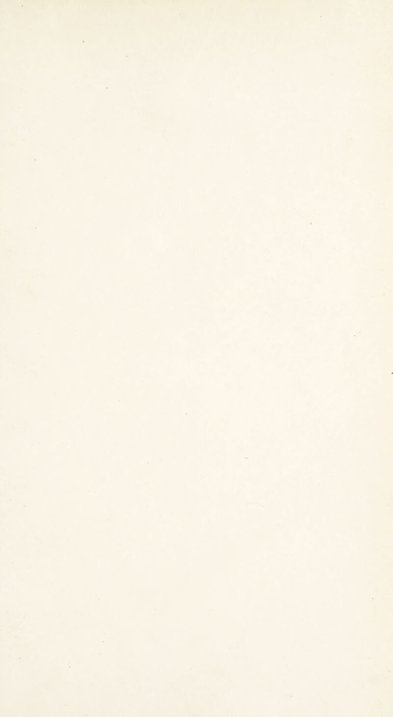 I 4- V > .. ■ ./■■■' ' ~v