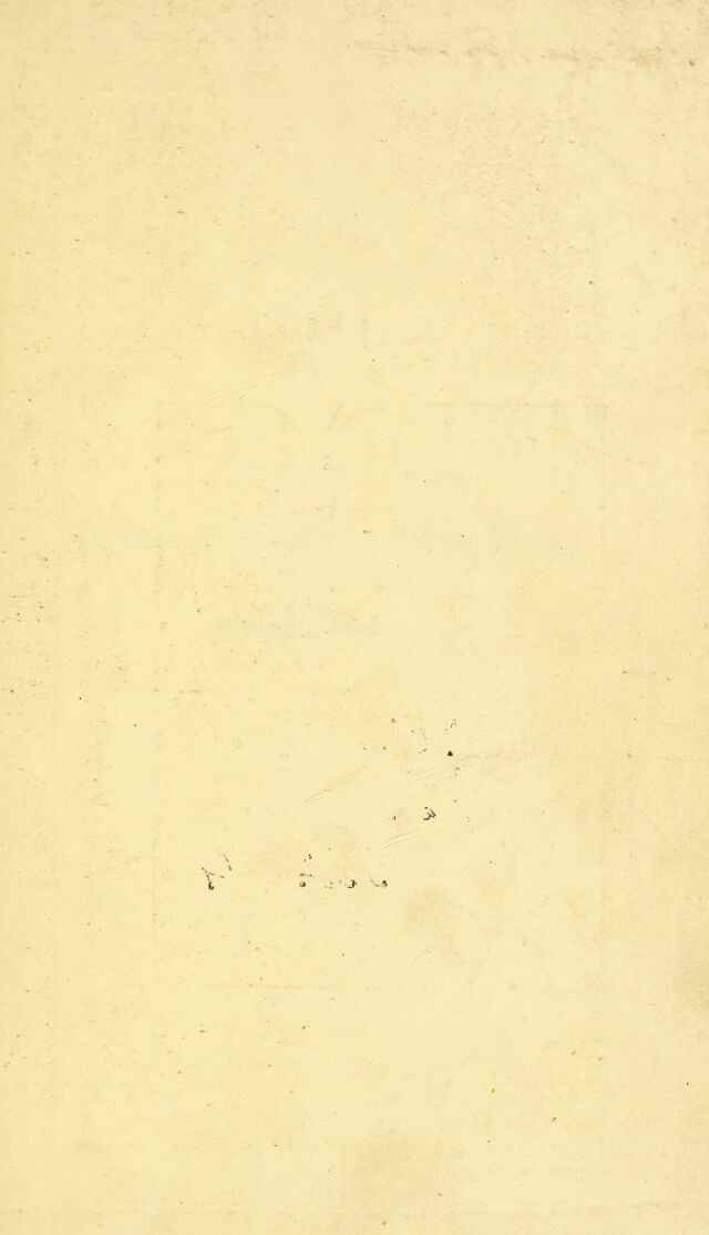 digitised image 3