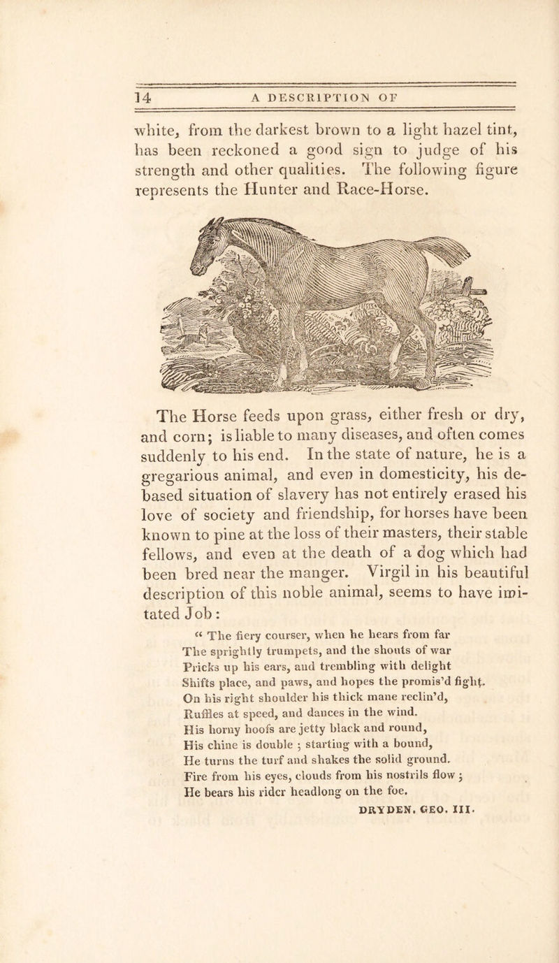 white* from the darkest brown to a light hazel tint, has been reckoned a good sign to judge of his strength and other qualities. The following figure represents the Hunter and Race-Horse. The Horse feeds upon grass, either fresh or dry, and corn; is liable to many diseases, and often comes suddenly to his end. In the state of nature, he is a gregarious animal, and even in domesticity, his de¬ based situation of slavery has not entirely erased his love of society and friendship, for horses have been known to pine at the loss of their masters, their stable fellows, and even at the death of a dog which had been bred near the manger. Virgil in his beautiful description of this noble animal, seems to have imi¬ tated Job: « The fiery courser, when he hears from far The sprightly trumpets, and the shouts of war Pricks up his ears, and trembling with delight Shifts place, and paws, and hopes the promis’d fight- On his right shoulder his thick mane reclin’d. Ruffles at speed, and dances in the wind. His horny hoofs are jetty black and round, His chine is double ; starting with a bound. He turns the turf and shakes the solid ground. Fire from his eyes, clouds from his nostrils flow; He bears his rider headlong on the foe. DRYDEN, GEO. III.