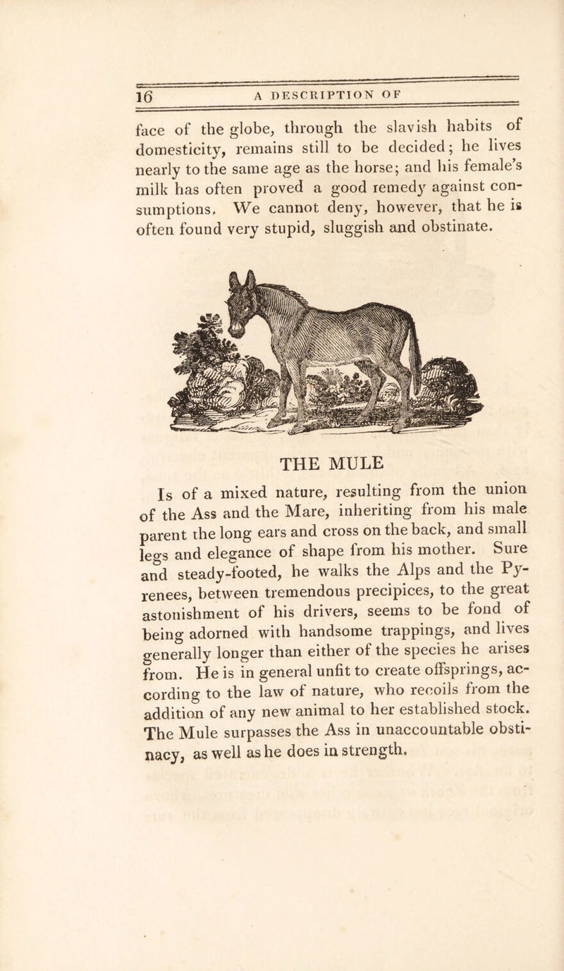 face of the globe, through the slavish habits of domesticity, remains still to be decided; he lives nearly to the same age as the horse; and his female’s milk has often proved a good remedy against con¬ sumptions, We cannot deny, however, that he is often found very stupid, sluggish and obstinate. THE MULE Is of a mixed nature, resulting from the union of the Ass and the Mare, inheriting from his male parent the long ears and cross on the back, and small legs and elegance of shape from his mother. Sure and steady-looted, he walks the Alps and the Py~ renees, between tremendous precipices, to the great astonishment of his drivers, seems to be fond of being adorned with handsome trappings, and lives generally longer than either of the species he arises from. He is in general unfit to cieate offspnngs, ac cording to the law of nature, who recoils from the addition of any new animal to her established stock. The Mule surpasses the Ass in unaccountable obsti¬ nacy, as well as he does in strength.