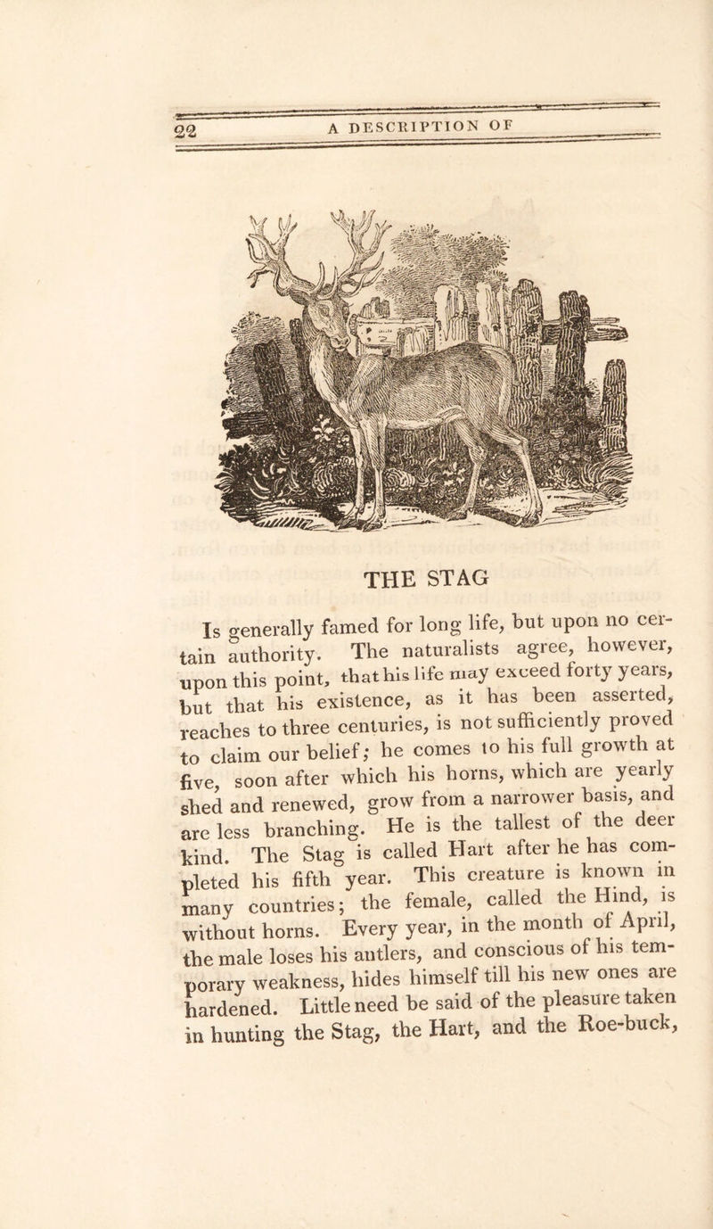 THE STAG Is o'enerally famed for long life, but upon no cei- tain authority. The naturalists agree however, upon this point, that hi, life may exceed forty years, but that his existence, as it has been asserted, reaches to three centuries, is not sufficiently proved to claim our belief; he comes to his full growth at five, soon after which his horns, which are yeaily shed and renewed, grow from a narrower basis, and are less branching. He is the tallest of the deer hind. The Stag is called Hart after he has com¬ pleted his fifth year. This creature is known in many countries; the female, called the Hind, is without horns. Every year, in the month of Apul, the male loses his antlers, and conscious of his tem¬ porary weakness, hides himself till his new ones are hardened. Little need be said of the pleasure taken in hunting the Stag, the Hart, and the Roe-buck,