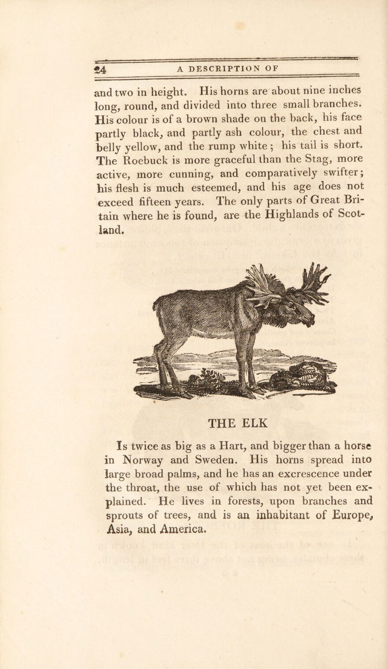 and two in height. His horns are about nine inches long, round, and divided into three small branches. His colour is of a brown shade on the back, his face partly black, and partly ash colour, the chest and belly yellow, and the rump white ; his tail is short. The Roebuck is more graceful than the Stag, more active, more cunning, and comparatively swifter; his flesh is much esteemed, and his age does not exceed fifteen years. The only parts of Great Bri¬ tain where he is found, are the Highlands of Scot¬ land. THE ELK Is twice as big as a Hart, and bigger than a horse in Norway and Sweden. His horns spread into large broad palms, and he has an excrescence under the throat, the use of which has not yet been ex¬ plained. He lives in forests, upon branches and sprouts of trees, and is an inhabitant of Europe* Asia, and America.