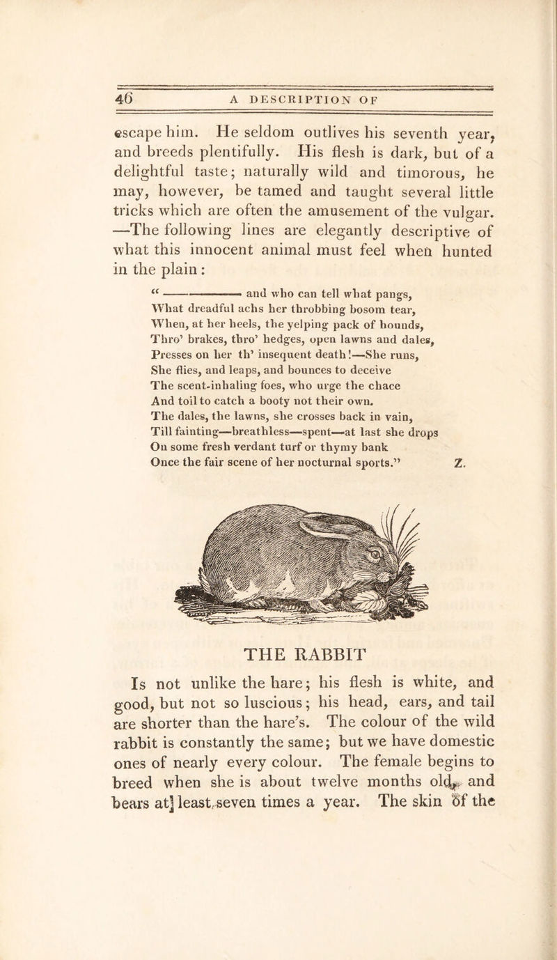 escape him. He seldom outlives his seventh year7 and breeds plentifully. His flesh is dark, but of a delightful taste; naturally wild and timorous, he may, however, he tamed and taught several little tricks which are often the amusement of the vulgar. —The following lines are elegantly descriptive of what this innocent animal must feel when hunted in the plain: <c-———- and who can tell what pangs, What dreadful achs her throbbing bosom tear. When, at her heels, the yelping pack of hounds. Thro1 brakes, thro’ hedges, open lawns and dales, Presses on her th1 insequent death!—She runs, She flies, and leaps, and bounces to deceive The scent-inhaling foes, who urge the chace And toil to catch a booty not their own. The dales, the lawns, she crosses back in vain, Till fainting—breathless—spent—at last she drops On some fresh verdant turf or thymy bank Once the fair scene of her nocturnal sports.11 Z. THE RABBIT Is not unlike the hare; his flesh is white, and good, but not so luscious; his head, ears, and tail are shorter than the hare’s. The colour of the wild rabbit is constantly the same; but we have domestic ones of nearly every colour. The female begins to breed when she is about twelve months ol(J^ and bears at] least, seven times a year. The skin Bf the
