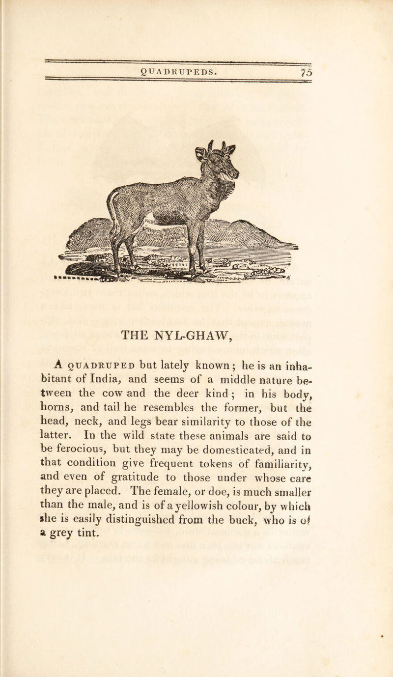 THE NYL-GHAW, A quadruped but lately known; he is an inha¬ bitant of India, and seems of a middle nature be¬ tween the cow and the deer kind ; in his body, horns, and tail he resembles the former, but the head, neck, and legs bear similarity to those of the latter. In the wild state these animals are said to be ferocious, but they may be domesticated, and in that condition give frequent tokens of familiarity, and even of gratitude to those under whose care they are placed. The female, or doe, is much smaller than the male, and is of ayellowish colour, by which she is easily distinguished from the buck, who is of a grey tint.