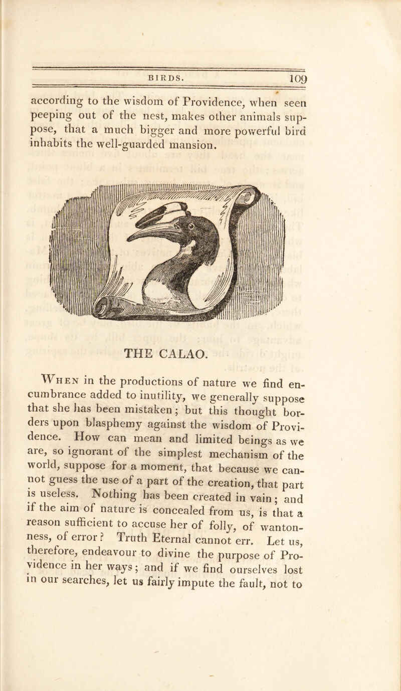 according to the wisdom of Providence, when seen peeping out of the nest, makes other animals sup¬ pose, that a much bigger and more powerful bird inhabits the well-guarded mansion. THE CALAO. When in the productions of nature we find en- cumbiance added to inutility, we generally suppose that she has been mistaken; but this thought bor¬ ders upon blasphemy against the wisdom of Provi¬ dence. Plow can mean and limited beings as we aie, so ignorant of the simplest mechanism of the world, suppose for a moment, that because we can¬ not guess the use of a part of the creation, that part is useless. Nothing has been created in vain ; and if the aim of nature is concealed from us, is that a reason sufficient to accuse her of folly, of wanton¬ ness, of error ? Truth Eternal cannot err. Let us, therefore, endeavour to divine the purpose of Pro¬ vidence in her ways; and if we find ourselves lost in oui seaiches, let us fairly impute the fault, not to