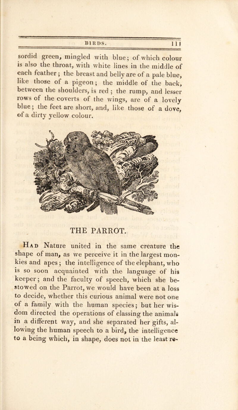 sordid green, mingled with blue; of which colour is also the throat, with white lines in the middle of each feather ; the breast and belly are of a pale blue, like those of a pigeon; the middle of the back, between the shoulders, is red ; the rump, and lesser rows of the coverts of the wings, are of a lovely blue; the feet are short, and, like those of a dove, of a dirty yellow colour. THE PARROT. Had Nature united in the same creature the shape of man, as we perceive it in the largest mon¬ kies and apes; the intelligence of the elephant, who is so soon acquainted with the language of his keeper; and the faculty of speech, which she be¬ stowed on the Parrot, we would have been at a loss to decide, whether this curious animal were not one of a family with the human species; but her wis¬ dom directed the operations of classing the animals in a different way, and she separated her gifts, al¬ lowing the human speech to a bird, the intelligence to a being which, in shape, does not in the least re-