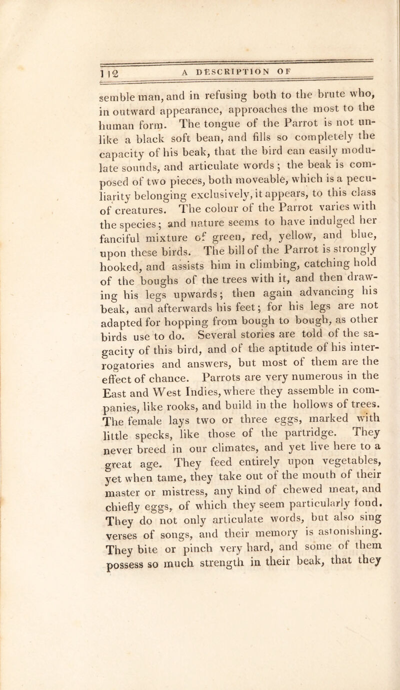 ] 12 A DESCRIPTION OF _ semble man, and in refusing both to the brute who, in outwrard appearance, approaches the most to the human form. The tongue of the Parrot is not un¬ like a black soft bean, and fills so completely the capacity of his beak, that the bird can easily modu¬ late sounds, and articulate words; the beak is com¬ posed of two pieces, both moveable, which is a pecu¬ liarity belonging exclusively, it appears, to this class of creatures. The colour of the Parrot vaiies with the species; and nature seems to have indulged hei fanciful mixture of green, red, yellow, and blue, upon these birds. The bill of the Parrot is strongly hooked, and assists him in climbing, catching hold of the boughs of the trees with it, and then diaw¬ ing his legs upwards; then again advancing his beak, and afterwards his feet; for his legs are not adapted for hopping from bough to bough, as other birds use to do. Several stories are told of the sa¬ gacity of this bird, and of the aptitude of his inter¬ rogatories and answers, but most of them aie the effect of chance. Parrots are very numerous in the East and West Indies, where they assemble in com¬ panies, like rooks, and build m the hollow s of trees. The female lays two or three eggs, marked with little specks, like those of the partridge. They never breed in our climates, and yet live here to a great age. They feed entirely upon vegetables, yet when tame, they take out of the mouth of their master or mistress, any kind of chewed meat, and chiefly eggs, of which they seem particularly tond. They do not only articulate words, but also sing verses of songs, and their memory is astonishing. They bite or pinch very hard, and some of them possess so much strength in their beak, that they