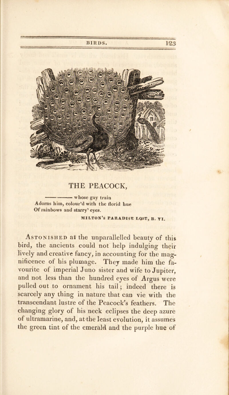 THE PEACOCK, *--—— whose gay train Adorns him, colour’d with the florid hue Of rainbows and starry’ eyes. MILTON’S PARADISE LOST, B. VI, Astonished at the unparallelled beauty of this bird, the ancients could not help indulging their lively and creative fancy, in accounting for the mag¬ nificence of his plumage. They made him the fa¬ vourite of imperial Juno sister and wife to Jupiter, and not less than the hundred eyes of Argus were pulled out to ornament his tail; indeed there is scarcely any thing in nature that can vie with the transcendant lustre of the Peacock’s feathers. The changing glory of his neck eclipses the deep azure of ultramarine, and, at the least evolution, it assumes the green tint of the emerald and the purple hue of