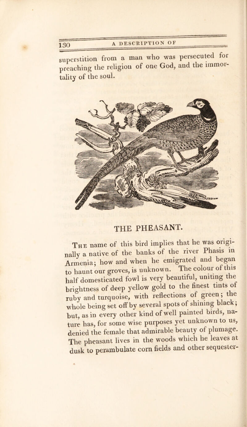 superstition from a man who was persecuted for preaching the religion of one God, and the immor¬ tality of the soul. THE PHEASANT. The name of this bird implies that he was origi¬ nally a native of the banks of the river Phasis in Armenia; how and when he emigrated and began to haunt our groves, is unknown. The colour of this half domesticated fowl is very beautiful, uniting the brightness of deep yellow gold to the finest tints ot ruby and turquoise, with reflections of green; the whole being set off by several spots of shining black; but, as in every other kind of well painted birds, na¬ ture has, for some wise purposes yet unknown to us, denied the female that admirable beauty of plumage. The pheasant lives in the woods which he leaves at dusk to perambulate corn fields and other sequester-
