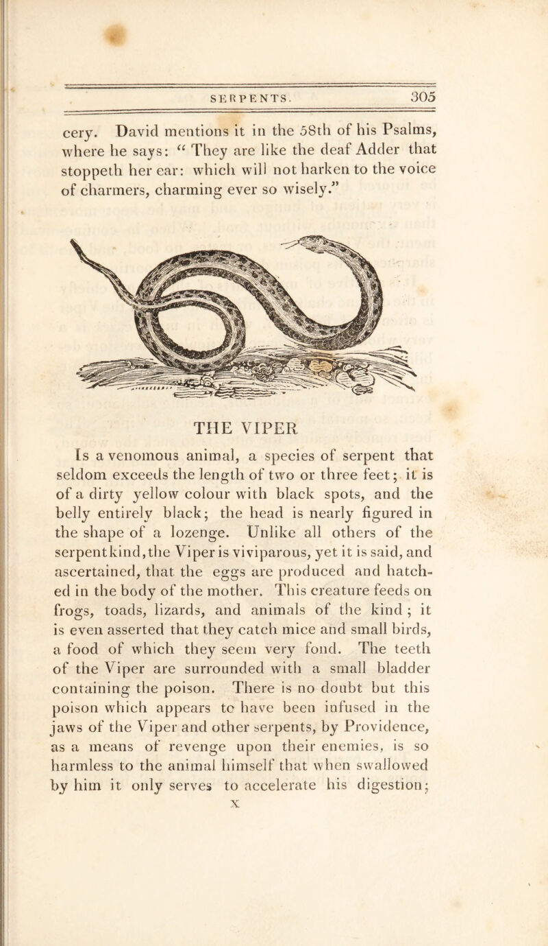 eery. David mentions it in the 58th of his Psalms, where he says: “ They are like the deal Adder that stoppeth her ear: which will not harken to the voice of charmers, charming ever so wisely/’ THE VIPER Is a venomous animal, a species of serpent that seldom exceeds the length of two or three feet; it is of a dirty yellow colour with black spots, and the belly entirely black; the head is nearly figured in the shape of a lozenge. Unlike all others of the serpentkind,the Viper is viviparous, yet it is said, and ascertained, that the eggs are produced and hatch¬ ed in the body of the mother. This creature feeds on frogs, toads, lizards, and animals of the kind ; it is even asserted that they catch mice and small birds, a food of which they seem very fond. The teeth of the Viper are surrounded with a small bladder containing the poison. There is no doubt but this poison which appears te have been infused in the jaws of the Viper and other serpents, by Providence, as a means of revenge upon their enemies, is so harmless to the animal himself that when swallowed by him it only serves to accelerate his digestion; x