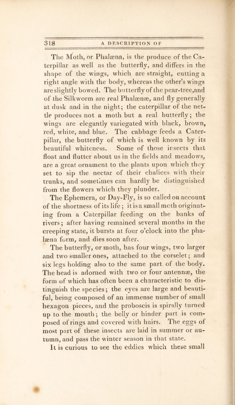 The Moth, or Phalaena, is the produce of the Ca¬ terpillar as well as the butterfly, and differs in the shape of the wings, which are straight, cutting a right angle with the body, whereas the other’s wings are slightly bowed. The butterfly of the pear-tree,and of the Silkworm are real Phalcense, and fly generally at dusk and in the night; the caterpillar of the net¬ tle produces not a moth but a real butterfly; the wings are elegantly variegated with black, brown, red, white, and blue. The cabbage feeds a Cater¬ pillar, the butterfly of which is well known by its beautiful whiteness. Some of those in sects that float and flutter about us in the fields and meadows, are a great ornament to the plants upon which they set to sip the nectar of their chalices with their trunks, and sometimes can hardly be distinguished from the flowers which they plunder. The Ephemera, or Day-Fly, is so called on account of the shortness of its life; it is a small moth originat¬ ing from a Caterpillar feeding on the banks of rivers; after having remained several months in the creeping state, it bursts at four o’clock into the pha- laena form, and dies soon after. The butterfly, or moth, has four wings, two larger and two smaller ones, attached to the corselet; and six legs holding also to the same part of the body. The head is adorned with two or four antennse, the form of which has often been a characteristic to dis¬ tinguish the species; the eyes are large and beauti¬ ful, being composed of an immense number of small hexagon pieces, and the proboscis is spirally turned up to the mouth; the belly or hinder part is com¬ posed of rings and covered with hairs. The eggs of most part of these insects are laid in summer or au¬ tumn, and pass the winter season in that state. It is curious to see the eddies which these small