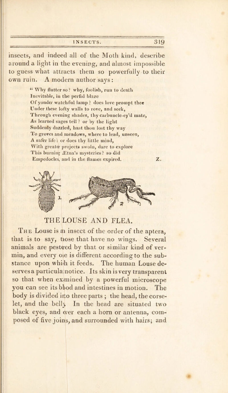 insects, and indeed all of the Moth kind, describe around a light in the evening, and almost impossible to guess what attracts them so powerfully to their own ruin. A modern author says : t( Why flutter so ? why, foolish, run to death Inevitable, in the perfid blaze Of yonder watchful lamp ? does love prompt thee Under these lofty walls to rove, and seek, Through evening shades, thy carbuncle-ey’d mate, As learned sages tell ? or by the light Suddenly dazzled, hast thou lost thy way To groves and meadows, where to lead, unseen, A safer life ': or does thy little mind, With great® projects swoln, dare to explore This burning iEtna’s mysteries? so did Empedocles, and in the flames expired. Z. THE LOUSE AND FLEA. The Louse is ai insect of the order of the aptera, that is to say, tiose that have no wings. Several animals are pestled by that or similar kind of ver¬ min, and every oie is different according to the sub¬ stance upon whifh it feeds. The human Louse de¬ serves a particulainotice. Its skin is very transparent so that when exanined by a powerful microscope you can see itsbbod and intestines in motion. The body is divided irto three parts ; the head, the corse¬ let, and the belly In the head are situated two black eyes, and ever each a horn or antenna, com¬ posed of five joins, and surrounded with hairs; and