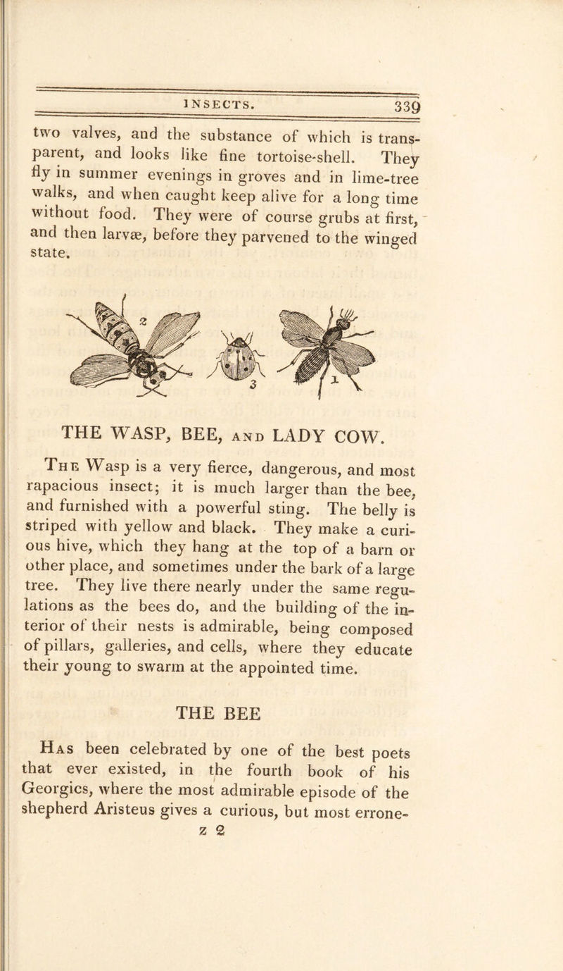 two valves, and the substance of which is trans¬ parent, and looks like fine tortoise-shell. They fly in summer evenings in groves and in lime-tree walks, and when caught keep alive for a long time without food. They were of course grubs at first, - and then larvae, before they parvened to the winged state. THE WASP, BEE, and LADY COW. The Wasp is a very fierce, dangerous, and most rapacious insect; it is much larger than the bee. and furnished with a powerful sting. The belly is striped with yellow and black. They make a curi¬ ous hive, which they hang at the top of a barn or other place, and sometimes under the bark of a large tree. They live there nearly under the same regu¬ lations as the bees do, and the building of the in¬ terior of their nests is admirable, being composed of pillars, galleries, and cells, where they educate their young to swarm at the appointed time. THE BEE Has been celebrated by one of the best poets that ever existed, in the fourth book of his Georgies, where the most admirable episode of the shepherd Aristeus gives a curious, but most errone- 7, 2
