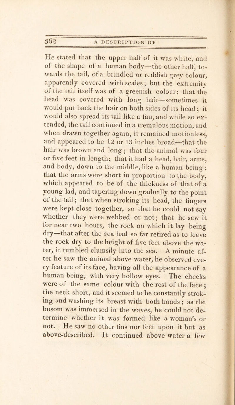 He stated that the upper half of it was white, and of the shape of a human body—the other half, to¬ wards the tail, of a brindled or reddish grey colour, apparently covered with scales; but the extremity of the tail itself was of a greenish colour; that the head was covered with long hair—sometimes it would put back the hair on both sides of its head ; it would also spread its tail like a fan, and while so ex¬ tended, the tail continued in a tremulous motion, and when drawn together again, it remained motionless, and appeared to be 12 or 13 inches broad—that the hair was brown and long; that the animal was four or five feet in length; that it had a head, hair, arms, and body, down to the middle, like a human being ; that the arms were short in proportion to the body, which appeared to be of the thickness of that of a young lad, and tapering down gradually to the point of the tail; that when stroking its head, the fingers were kept close together, so that he could not say whether they ivere webbed or not; that he saw it for near two hours, the rock on which it lay being dry—that after the sea had so far retired as to leave the rock dry to the height of five feet above the wa¬ ter, it tumbled clumsily into the sea. A minute af¬ ter he saw the animal above water, he observed eve¬ ry feature of its face, having all the appearance of a human being, with very hollow eyes. The cheeks were of the same colour with the rest of the face ; the neck short, and it seemed to be constantly strok¬ ing and washing its breast with both hands ; as the bosom was immersed in the waves, he could not de¬ termine whether it was formed like a woman’s or not. He saw no other fins nor feet upon it but as above-described. It continued above water a few