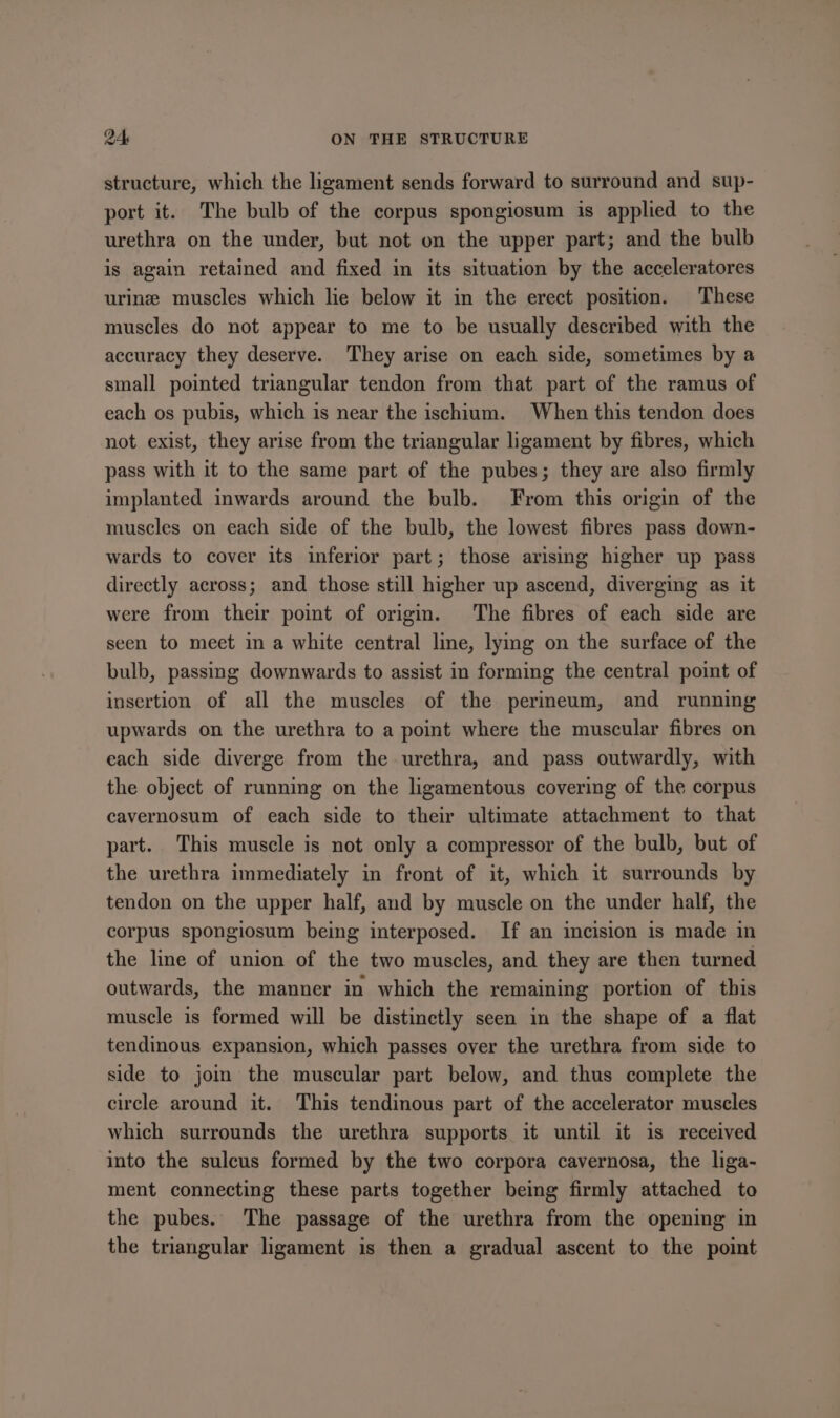structure, which the ligament sends forward to surround and sup- port it. The bulb of the corpus spongiosum is applied to the urethra on the under, but not on the upper part; and the bulb is again retained and fixed in its situation by the acceleratores urine muscles which lie below it in the erect position. These muscles do not appear to me to be usually described with the accuracy they deserve. They arise on each side, sometimes by a small pointed triangular tendon from that part of the ramus of each os pubis, which is near the ischium. When this tendon does not exist, they arise from the triangular ligament by fibres, which pass with it to the same part of the pubes; they are also firmly implanted inwards around the bulb. From this origin of the muscles on each side of the bulb, the lowest fibres pass down- wards to cover its inferior part; those arising higher up pass directly across; and those still higher up ascend, diverging as it were from their point of origin. The fibres of each side are seen to meet in a white central line, lying on the surface of the bulb, passing downwards to assist in forming the central point of insertion of all the muscles of the perineum, and running upwards on the urethra to a point where the muscular fibres on each side diverge from the urethra, and pass outwardly, with the object of running on the ligamentous covering of the corpus cavernosum of each side to their ultimate attachment to that part. This muscle is not only a compressor of the bulb, but of the urethra immediately in front of it, which it surrounds by tendon on the upper half, and by muscle on the under half, the corpus spongiosum being interposed. If an incision is made in the line of union of the two muscles, and they are then turned outwards, the manner in which the remaining portion of this muscle is formed will be distinctly seen in the shape of a flat tendinous expansion, which passes over the urethra from side to side to joi the muscular part below, and thus complete the circle around it. This tendinous part of the accelerator muscles which surrounds the urethra supports it until it is received into the sulcus formed by the two corpora cavernosa, the liga- ment connecting these parts together being firmly attached to the pubes. The passage of the urethra from the opening in the triangular ligament is then a gradual ascent to the point