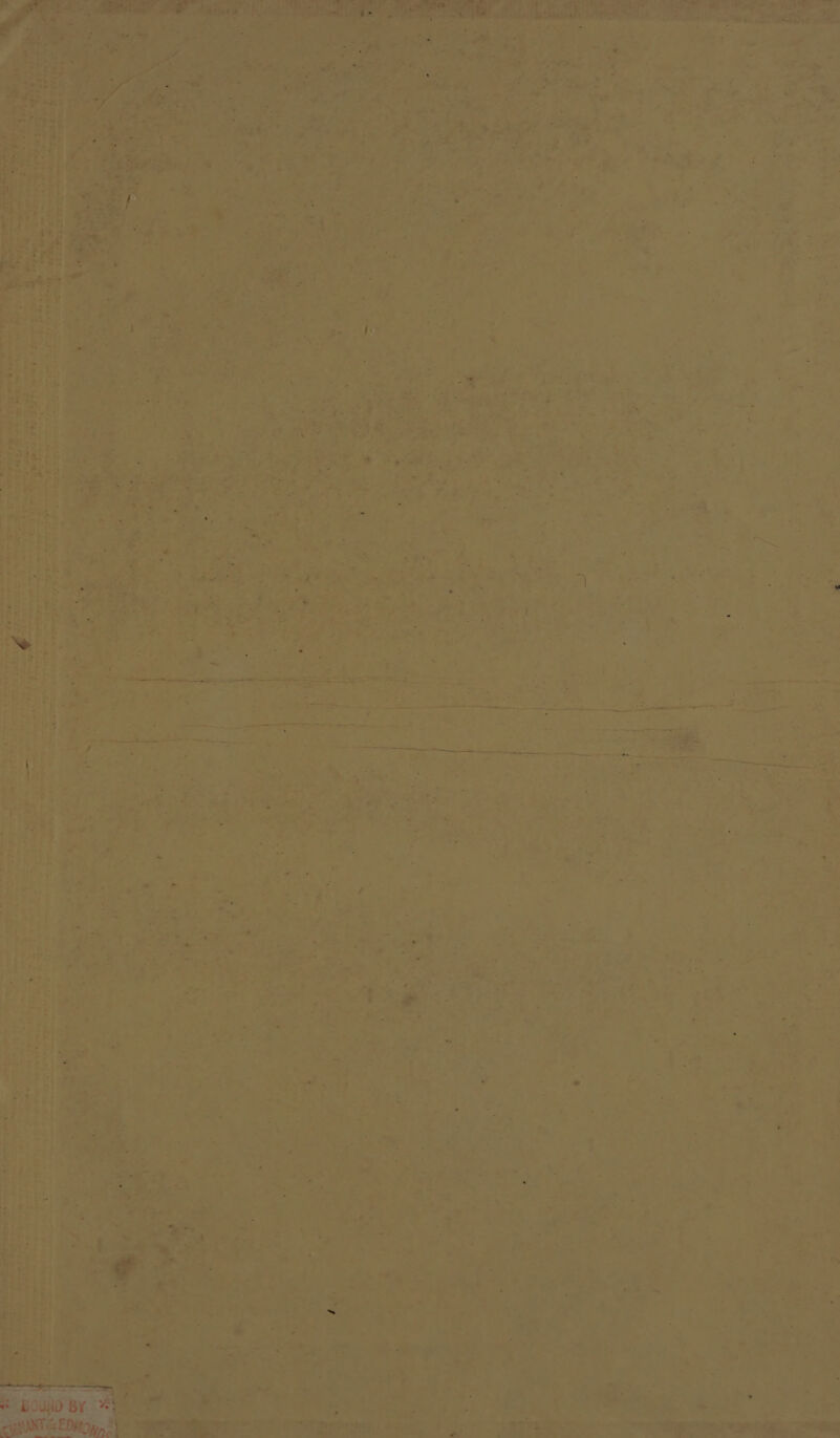 SE cat ——s ——— id - - a ie we ee ; od bea se &gt; © tg Sw ~~  he oS ire? bee See ih EA Ny SRR il is a aithS one Ot ae | ae ee