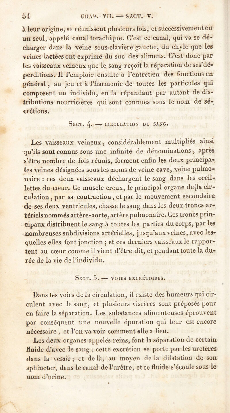 à leur origine, se réunissent plusieurs fois, et successivement en un seul, appelé canal torachique. C’est ce canal, qui va se dé- charger dans la veine sous-clavière gauche, du chyle que les veines lactées ont exprimé du suc des alimens. C’est donc par les vaisseaux veineux que le sang reçoit la réparation de ses^dé- perditions. Il l’emploie ensuite à l’entre tren des fonctions en général, au jeu et à l’hannonie de toutes les particules qui composent un individu, en la répandant par autant de dis- tributions nourricières qui sont connues sous le nom de sé- crétions. SeGT. 4* — CIRCULATION DU SANG. Les vaisseaux veineux, considérablement multipliés ainsi qu’ils sont connus sous une infinité de dénominations , après s’être nombre de fois réunis, forment enfin les deux principa-, les veines désignées sous les noms de veine cave, veine pulmo- naire : ces deux vaisseaux déchargent le sang dans les oreil- lettes du cœur. Ce muscle creux, le principal organe de tla cir- culation , par sa contraction, et par le mouvement secondaire de ses deux ventricules, chasse le sang dans les deux troncs ar- tériels nommés artère-aorte, artère pulmonaire. Ces troncs prin- cipaux distribuent le sang à toutes les parties du corps, par les nombreuses subdivisions artérielles, jusqu’aux veines, avec les- quelles elles font jonction ; et ces derniers vaisseaux le rappor- tent au cœur comme il vient d’être dit, et pendant toute la du- rée de la vie de l’individu. SeCT. 5. — VOIES EXCRÉTOIRES. Dans les voies de la circulation, il existe des humeurs qui cir- culent avec le sang, et plusieurs viscères sont préposés pour en faire la séparation. Les substances alimenteuses éprouvent par conséquent une nouvelle épuration qui leur est encore nécessaire , et l’on va voir comment «lie a lieu. Les deux organes appelés reins, font la séparation de certain fluide d’avec le sang ; cette excrétion se porte par les uretères dans la vessie ; et de là, au moyen de la dilatation de son sphincter, dans le canal de l’urètre, et ce fluide s’écoule sous le nom d’urine.