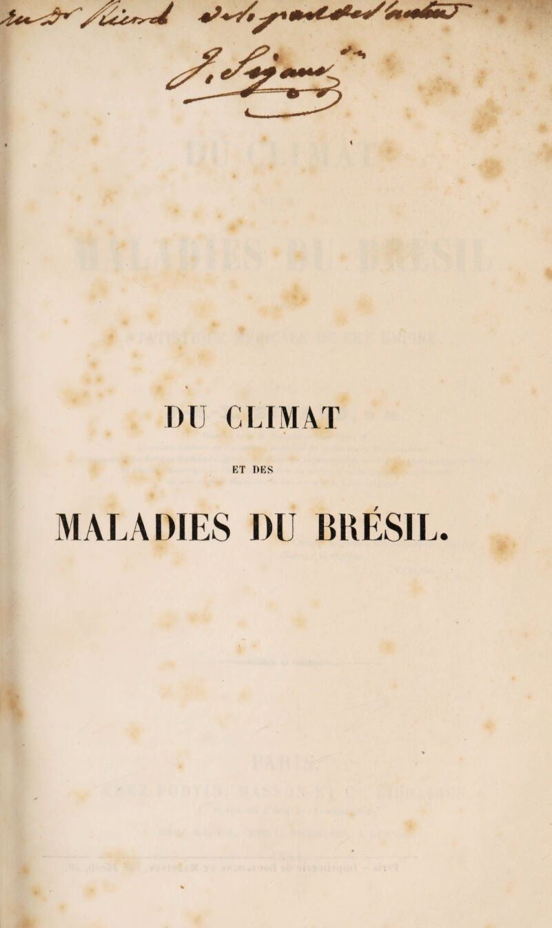 DU CLIMAT ET DES MALADIES DU BRÉSIL.