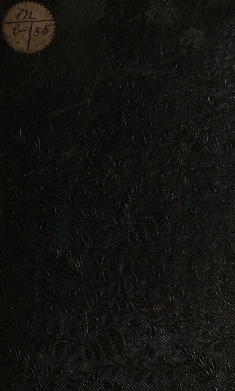 ZIIIRN SITE HH “N DR LE ANTN IN IN N NIE RR N NN IN N N X \ N N Kt IN STERN ES N INNE EN x REN > ANS IQ, Sn N \S SS SS