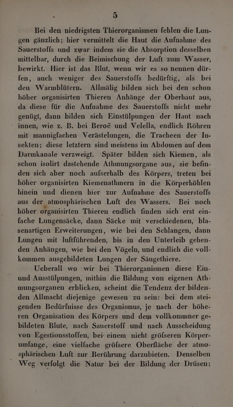 Bei den niedrigsten Thierorganismen fehlen die Lun- gen gänzlich; hier vermittelt die Haut die Aufnahme des Sauerstoffs und zwar indem sie die Absorption desselben mittelbar, durch die Beimischung der Luft zum Wasser, bewirkt. Hier ist das Blut, wenn wir es so nennen dür- fen, auch weniger des Sauerstoffs bedürftig, als bei den Warmblütern. Allmälig bilden sich bei den schon höher organisirten Thieren Anhänge der Oberhaut aus, da diese für die Aufnahme des Sauerstoffs nicht mehr genügt, dann bilden sich Einstülpungen der Haut nach innen, wie z. B. bei Bero@ und Velella, endlich Röhren mit mannigfachen Verästelungen, die Tracheen der In- sekten; diese letztern sind meistens im Abdomen auf dem Darmkanale verzweigt. Später bilden sich Kiemen, als schon isolirt dastehende Athmungsorgane aus, sie befin- den sich aber noch aufserhalb des Körpers, treten bei höher organisirten Kiemenathmern in die Körperhöhlen hinein und dienen hier zur Aufnahme des Sauerstoffs aus der „atmosphärischen Luft des Wassers. Bei noch höher organisirten Thieren endlich finden sich erst ein- fache Lungensäcke, dann Säcke mit verschiedenen, bla- senartigen Erweiterungen, wie bei den Schlangen, dann Lungen mit luftführenden, bis in den Unterleib gehen- den Anhängen, wie bei den Vögeln, und endlich die voll- kommen ausgebildeten Lungen der Säugethiere. Ueberall wo wir bei Thierorganismen diese Ein- und Ausstülpungen, mithin die Bildung von eigenen Ath- mungsorganen erblicken, scheint die Tendenz der bilden- den Allmacht diejenige gewesen zu sein: bei dem stei- genden Bedürfnisse des Organismus, je nach der höhe- ren Organisation des Körpers und dem vollkommner ge- bildeten Blute, nach Sauerstoff und nach Ausscheidung von Egestionsstoffen, bei: einem nicht gröfseren Körper- umfange, eine vielfache gröfsere. Oberfläche der atmo- sphärischen Luft zur ‚Berührung darzubieten. Denselben Weg verfolgt die Natur bei der Bildung der Drüsen;