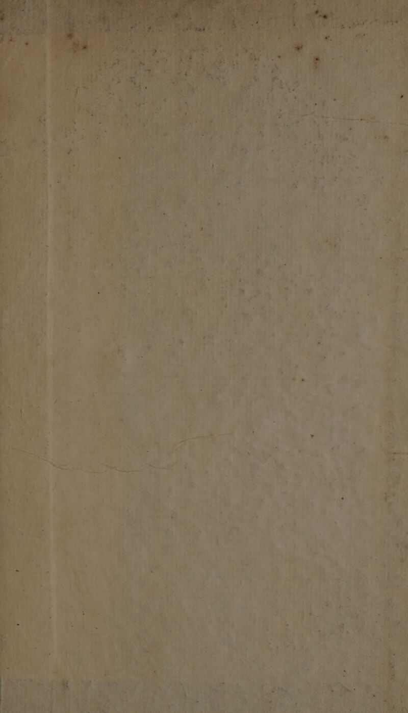 Zu »: . “ u A wa = rt -- 2 ee. > Para y ee Er u p u Re e, Be s