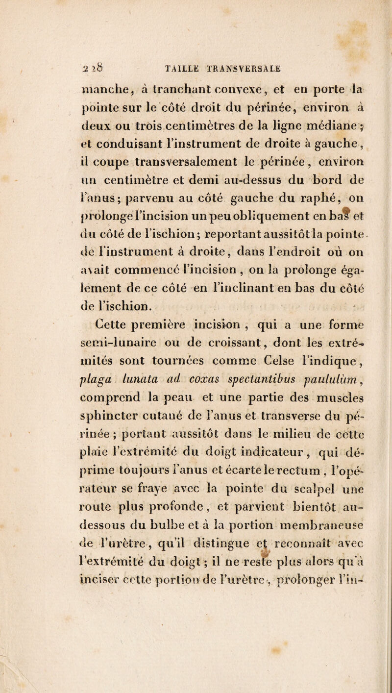 manche, à tranchant convexe, et en porte la pointe sur le côté droit du périnée, environ à deux ou trois centimètres de la ligne médiane ? et conduisant l’instrument de droite à gauche, il coupe transversalement le périnée, environ un centimètre et demi au-dessus du bord de l’anus ; parvenu au côté gauche du raphé, on prolonge l’incision un peu obliquement en baî et du côté de l’ischion; reportant aussitôt la pointe, de l’instrument à droite, dans l’endroit où on avait commencé l’incision , on la prolonge éga¬ lement de ce côté en l’inclinant en bas du côté de l’ischion. Cette première incision , qui a une forme semi-lunaire ou de croissant , dont les extré¬ mités sont tournées comme Celse l’indique, plaga lunata ad coxas spectantibus paululùm, comprend la peau et une partie des muscles sphincter cutaué de l’anus et transverse du pé¬ rinée ; portant aussitôt dans le milieu de cette plaie l’extrémité du doigt indicateur, qui dé¬ prime toujours l’anus et écarte le rectum , l’opé¬ rateur se fraye avec la pointe du scalpel une route plus profonde, et parvient bientôt au- dessous du bulbe et à la portion membraneuse de Turètre, qu’il distingue et reconnaît avec l’extrémité du doigt ; il ne reste plus alors qu’à inciser cette portion de l’urètre , prolonger l’in-