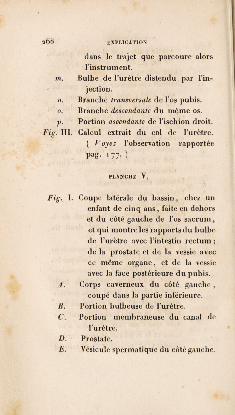 dans le trajet que parcoure alors Instrument. m. Bulbe de l’urètre distendu par l’in¬ jection. n. Branche transversale de l’os pubis. o. Branche descendante du même os. p. Portion ascendante de l’ischion droit. Fig. III. Calcul extrait du col de l’urètre. ( Voyez l’observation rapportée Pag- 1 77- ) PLANCHE Y. Fig. I. Coupe latérale du bassin, chez un enfant de cinq ans, faite en dehors et du côté gauche de l’os sacrum, et qui montre les rapports du bulbe de l’urètre avec l’intestin rectum ; de la prostate et de la vessie avec ce même organe, et de la vessie avec la face postérieure du pubis. A. Corps caverneux du côté gauche, coupé dans la partie inférieure. B. Portion bulbeuse de l’urètre. C. Portion membraneuse du canal de l’urètre. D. Prostate. E. Vésicule spermatique du côté gauche.