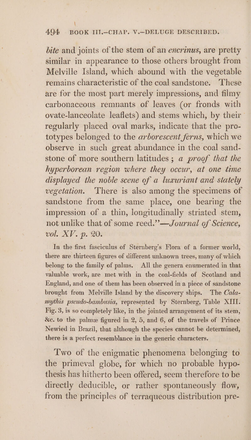 \ 494 BOOK III.—-CHAP. V._DELUGE DESCRIBED. bite and joints of the stem of an encrinus, are pretty similar in appearance to those others brought from Melville Island, which abound with the vegetable remains characteristic of the coal sandstone. ‘These are for the most part merely impressions, and filmy carbonaceous remnants of leaves (or fronds with ovate-lanceolate leaflets) and stems which, by their regularly placed oval marks, indicate that the pro- totypes belonged to the arborescent ferns, which we observe in such great abundance in the coal sand- stone of more southern latitudes ; a proof that the hyperborean region where they occur, at one time displayed the noble scene of a luxuriant and stately vegetation. ‘There is also among the specimens of sandstone from the same place, one bearing the impression of a thin, longitudinally striated stem, not unlike that of some reed.”’— Journal of Science, vol. XV. p. 20. In the first fasciculus of Sternberg’s Flora of a former world, there are thirteen figures of different unknown trees, many of which belong to the family of palms. All the genera enumerated in that valuable work, are met with in the coal-fields of Scotland and England, and one of them has been observed in a piece of sandstone brought from Melville Island by the discovery ships. The Cala- mythis pseudo-bambusia, represented by Sternberg, Table XIII. Fig. 3, is so completely like, in the jointed arrangement of its stem, &amp;c. to the palme figured in 2, 5, and 6, of the travels of Prince Newied in Brazil, that although the species cannot be determined, there is a perfect resemblance in the generic characters. Two of the enigmatic phenomena belonging to the primeval globe, for which no probable hypo- thesis has hitherto been offered, seem therefore to be directly deducible, or rather spontaneously flow, from the principles of terraqueous distribution pre-