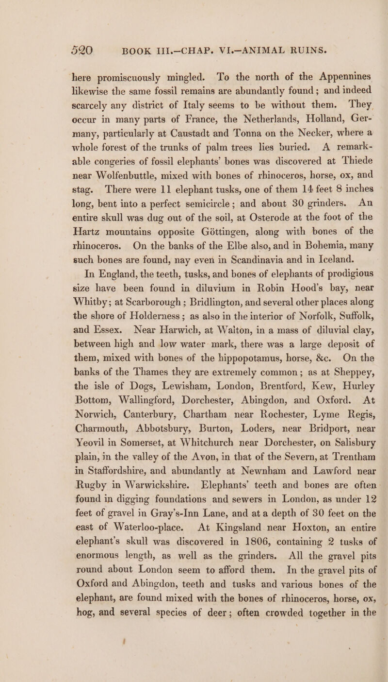here promiscuously mingled. To the north of the Appennines likewise the same fossil remains are abundantly found ; and indeed scarcely any district of Italy seems to be without them. ‘They occur in many parts of France, the Netherlands, Holland, Ger- many, particularly at Caustadt and Tonna on the Necker, where a whole forest of the trunks of palm trees lies buried. A remark- able congeries of fossil elephants’ bones was discovered at Thiede near Wolfenbuttle, mixed with bones of rhinoceros, horse, ox, and stag. There were 11 elephant tusks, one of them 14: feet 8 inches long, bent into a perfect semicircle; and about 30 grinders. An entire skull was dug out of the soil, at Osterode at the foot of the Hartz mountains opposite Gottingen, along with bones of the rhinoceros. On the banks of the Elbe also, and in Bohemia, many such bones are found, nay even in Scandinavia and in Iceland. In England, the teeth, tusks, and bones of elephants of prodigious size have been found in diluvium in Robin Hood’s bay, near Whitby; at Scarborough ; Bridlington, and several other places along the shore of Holderness ; as also in the interior of Norfolk, Suffolk, and Essex. Near Harwich, at Waiton, in a mass of diluvial clay, between high and low water mark, there was a large deposit of them, mixed with bones of the hippopotamus, horse, &amp;c. On the banks of the Thames they are extremely common; as at Sheppey, the isle of Dogs, Lewisham, London, Brentford, Kew, Hurley Bottom, Wallingford, Dorchester, Abingdon, and Oxford. At Norwich, Canterbury, Chartham. near Rochester, Lyme Regis, Charmouth, Abbotsbury, Burton, Loders, near Bridport, near Yeovil in Somerset, at Whitchurch near Dorchester, on Salisbury plain, in the valley of the Avon, in that of the Severn, at Trentham in Staffordshire, and abundantly at Newnham and Lawford near Rugby in Warwickshire. Elephants’ teeth and bones are often. found in digging foundations and sewers in London, as under 12 feet of gravel in Gray’s-Inn Lane, and at a depth of 30 feet on the east of Waterloo-place. At Kingsland near Hoxton, an entire elephant’s skull was discovered in 1806, containing 2 tusks of enormous length, as well as the grinders. All the gravel pits round about London seem to afford them. In the gravel pits of Oxford and Abingdon, teeth and tusks and various bones of the elephant, are found mixed with the bones of rhinoceros, horse, ox, _ hog, and several species of deer; often crowded together in the ;