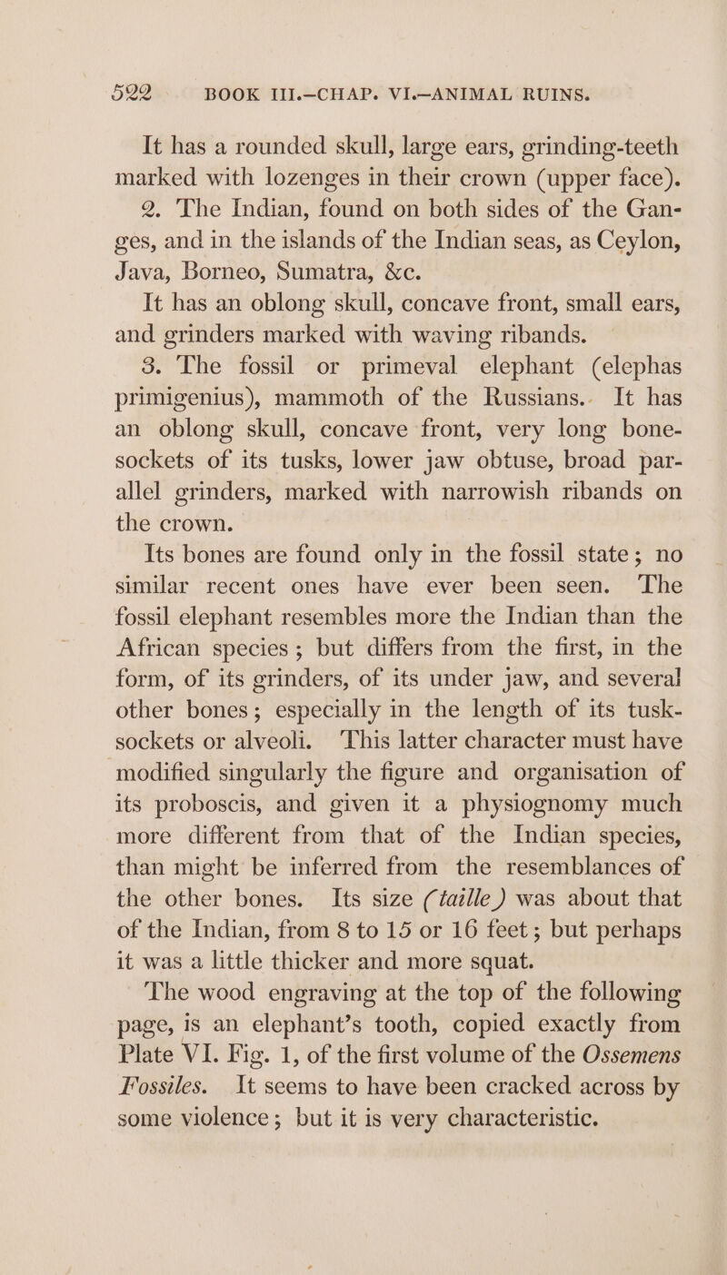 It has a rounded skull, large ears, grinding-teeth marked with lozenges in their crown (upper face). 2, The Indian, found on both sides of the Gan- ges, and in the islands of the Indian seas, as Ceylon, Java, Borneo, Sumatra, &amp;c. It has an oblong skull, concave front, small ears, and grinders marked with waving ribands. 3. The fossil or primeval elephant (elephas primigenius), mammoth of the Russians.. It has an oblong skull, concave front, very long bone- sockets of its tusks, lower jaw obtuse, broad par- allel grinders, marked with narrowish ribands on the crown. Its bones are found only in the fossil state; no similar recent ones have ever been seen. ‘The fossil elephant resembles more the Indian than the African species; but differs from the first, in the form, of its grinders, of its under jaw, and several other bones; especially in the length of its tusk- sockets or alveoli. This latter character must have modified singularly the figure and organisation of its proboscis, and given it a physiognomy much more different from that of the Indian species, than might be inferred from the resemblances of the other bones. Its size (taille) was about that of the Indian, from 8 to 15 or 16 feet ; but perhaps it was a little thicker and more squat. The wood engraving at the top of the following page, is an elephant’s tooth, copied exactly from Plate VI. Fig. 1, of the first volume of the Ossemens Fossiles. It seems to have been cracked across by some violence; but it is very characteristic.