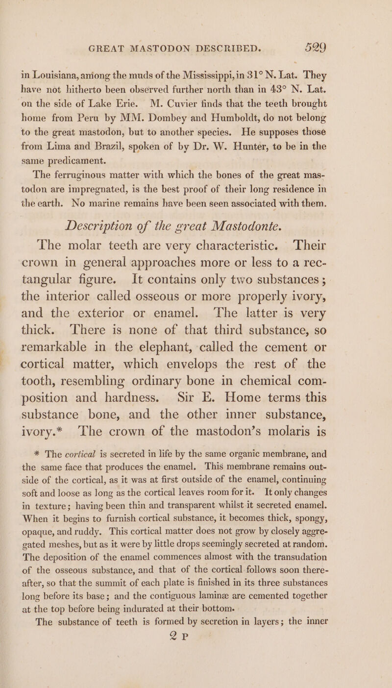 in Louisiana, aniong the muds of the Mississippi, in 31° N. Lat. They have not hitherto been observed further north than in 43° N. Lat. on the side of Lake Erie. M. Cuvier finds that the teeth brought home from Peru by MM. Dombey and Humboldt, do not belong to the great mastodon, but to another species. He supposes those from Lima and Brazil, spoken of by Dr. W. Hunter, to be in the same predicament. | The ferruginous matter with which the bones of the great mas- todon are impregnated, is the best proof of their long residence in the earth. No marine remains have been seen associated with them. Description of the great Mastodonte. The molar teeth are very characteristic. Their crown in general approaches more or less to a rec- tangular figure. It contains only two substances ; the interior called osseous or more properly ivory, and the exterior or enamel. ‘The latter is very thick. There is none of that third substance, so remarkable in the elephant, called the cement or cortical matter, which envelops the rest of the tooth, resembling ordinary bone in chemical com- position and hardness. Sir EK. Home terms this substance bone, and the other inner substance, ivory.* The crown of the mastodon’s molaris is * The cortical is secreted in life by the same organic membrane, and the same face that produces the enamel. This membrane remains out- side of the cortical, as it was at first outside of the enamel, continuing soft and loose as long as the cortical leaves room for it. It only changes in texture; having been thin and transparent whilst it secreted enamel. When it begins to furnish cortical substance, it becomes thick, spongy, opaque, andruddy. This cortical matter does not grow by closely aggre- gated meshes, but as it were by little drops seemingly secreted at random. The deposition of the enamel commences almost with the transudation of the osseous substance, and that of the cortical follows soon there- after, so that the summit of each plate is finished in its three substances long before its base; and the contiguous lamine are cemented together at the top before being indurated at their bottom. The substance of teeth is formed by secretion in layers; the inner A i